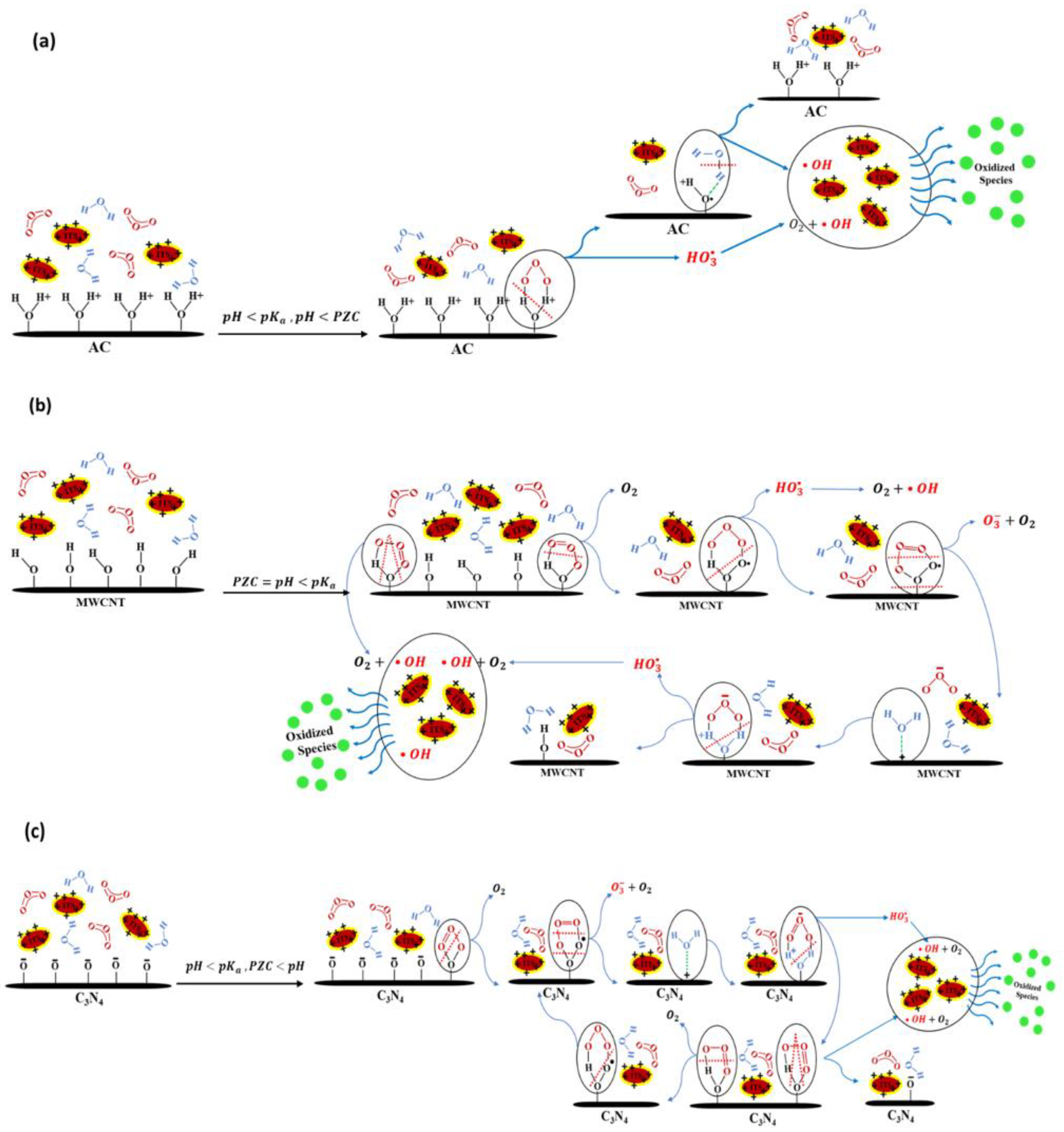 Molecules 29 04144 g007