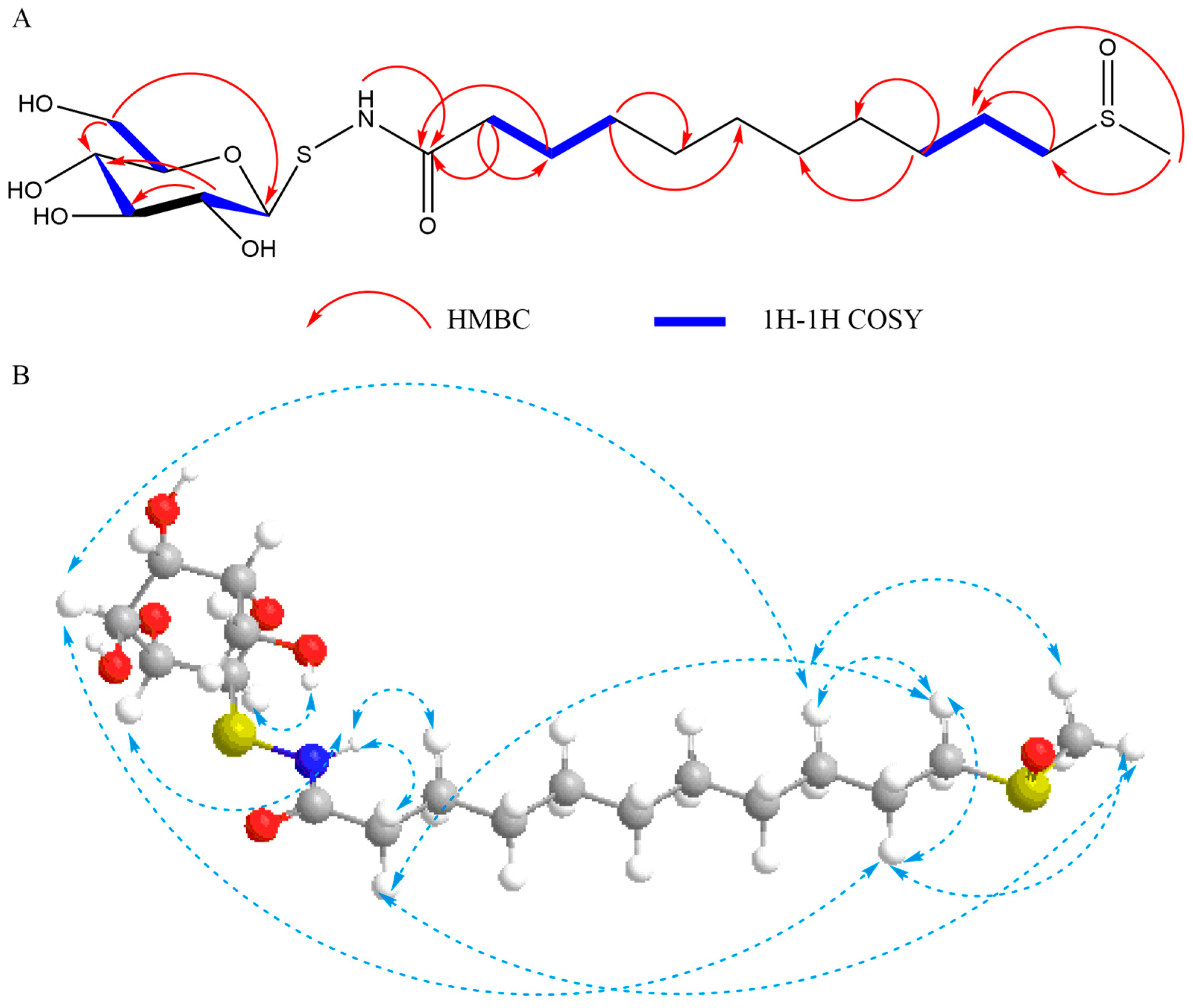 Molecules 29 04145 g003