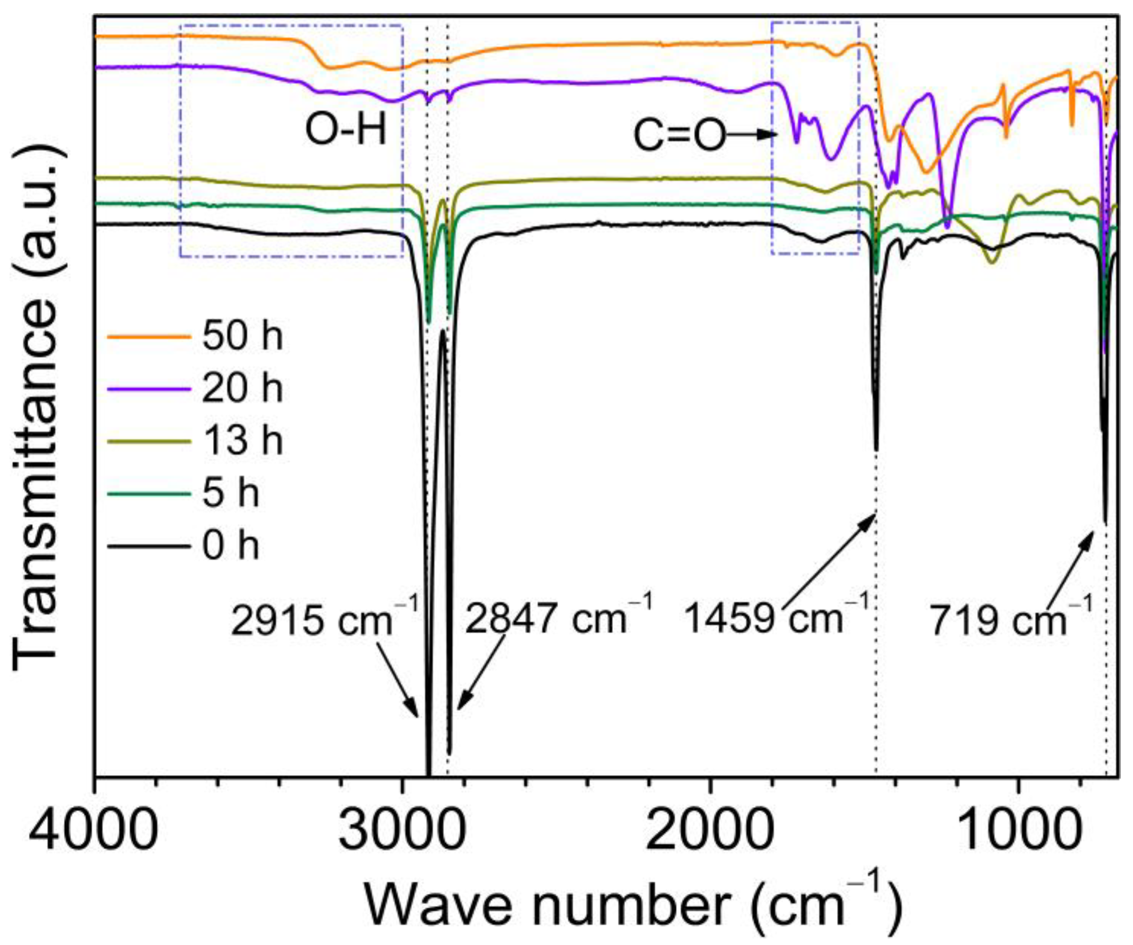 Molecules 29 04147 g001