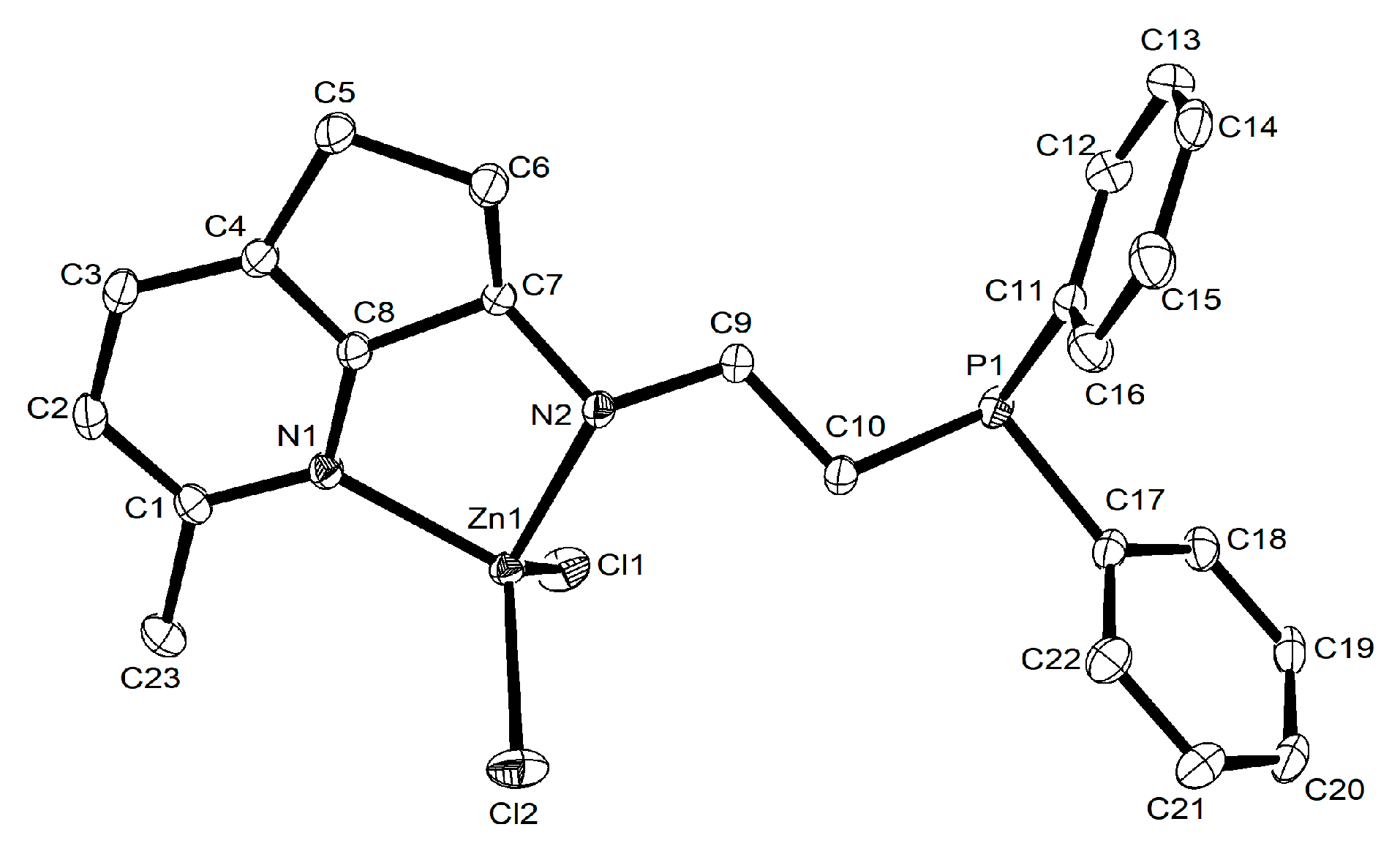 Molecules 29 04150 g001