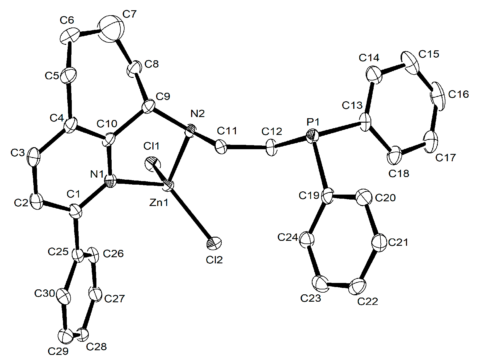 Molecules 29 04150 g003