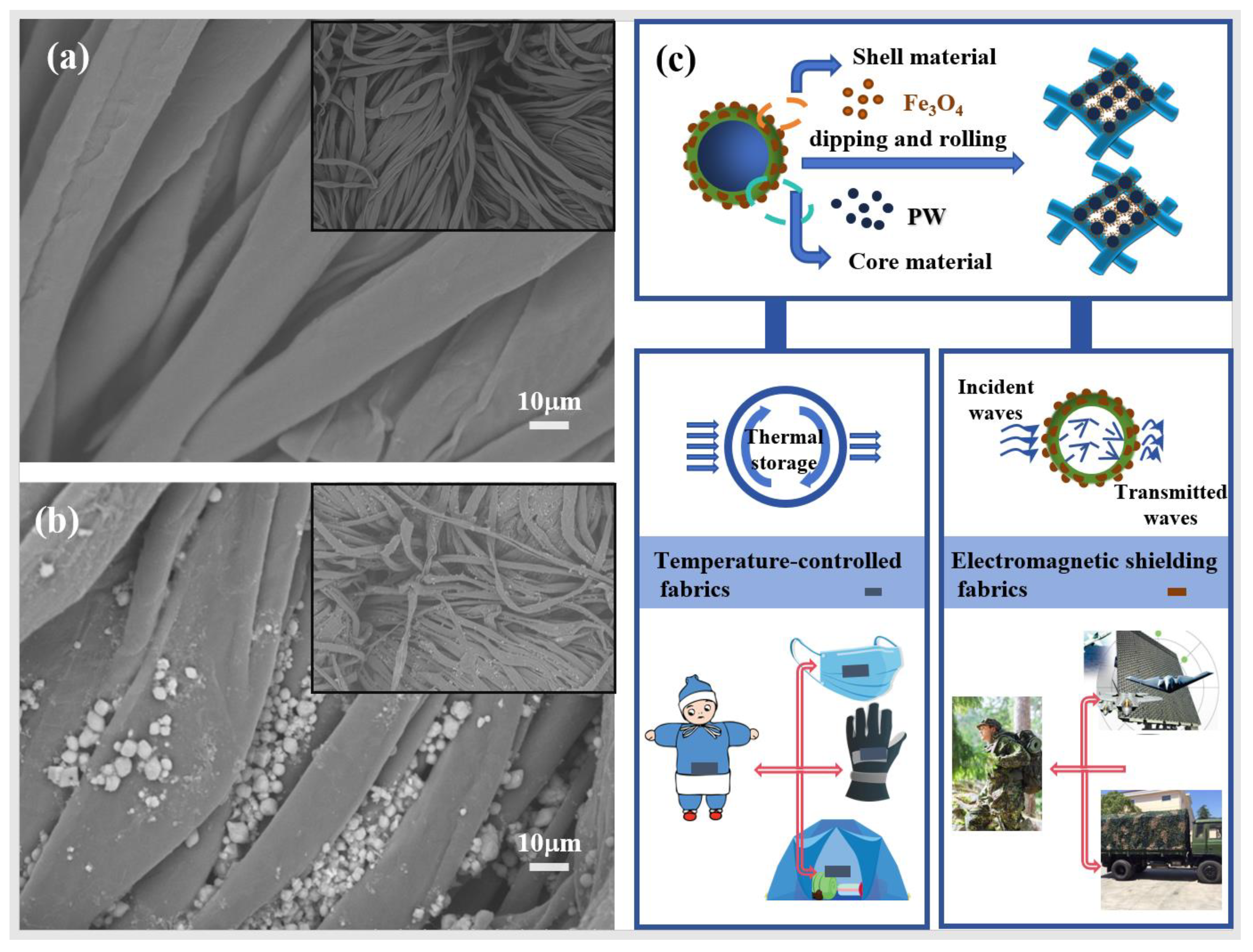 Molecules 29 04151 g007