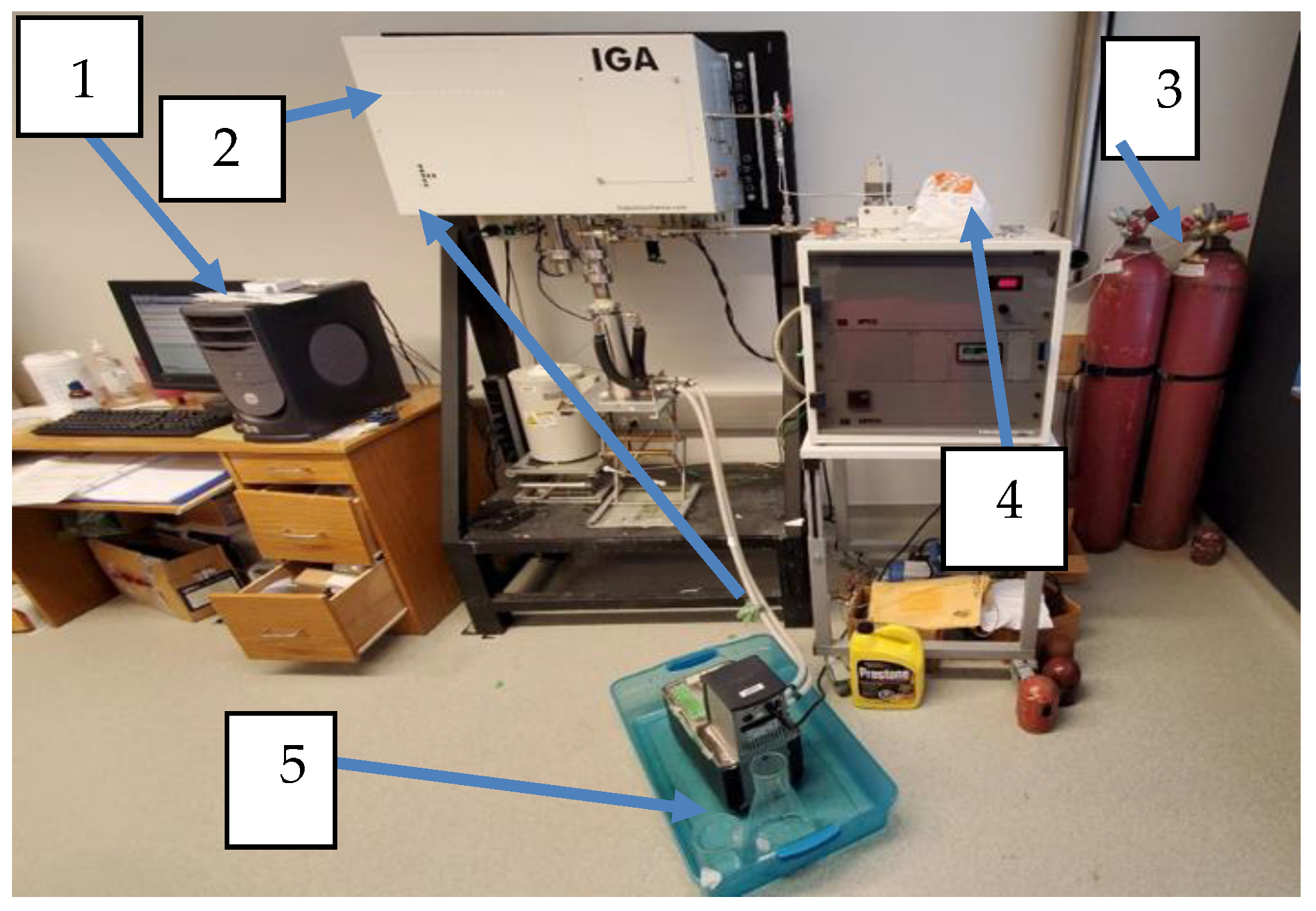 Molecules 29 04152 g011