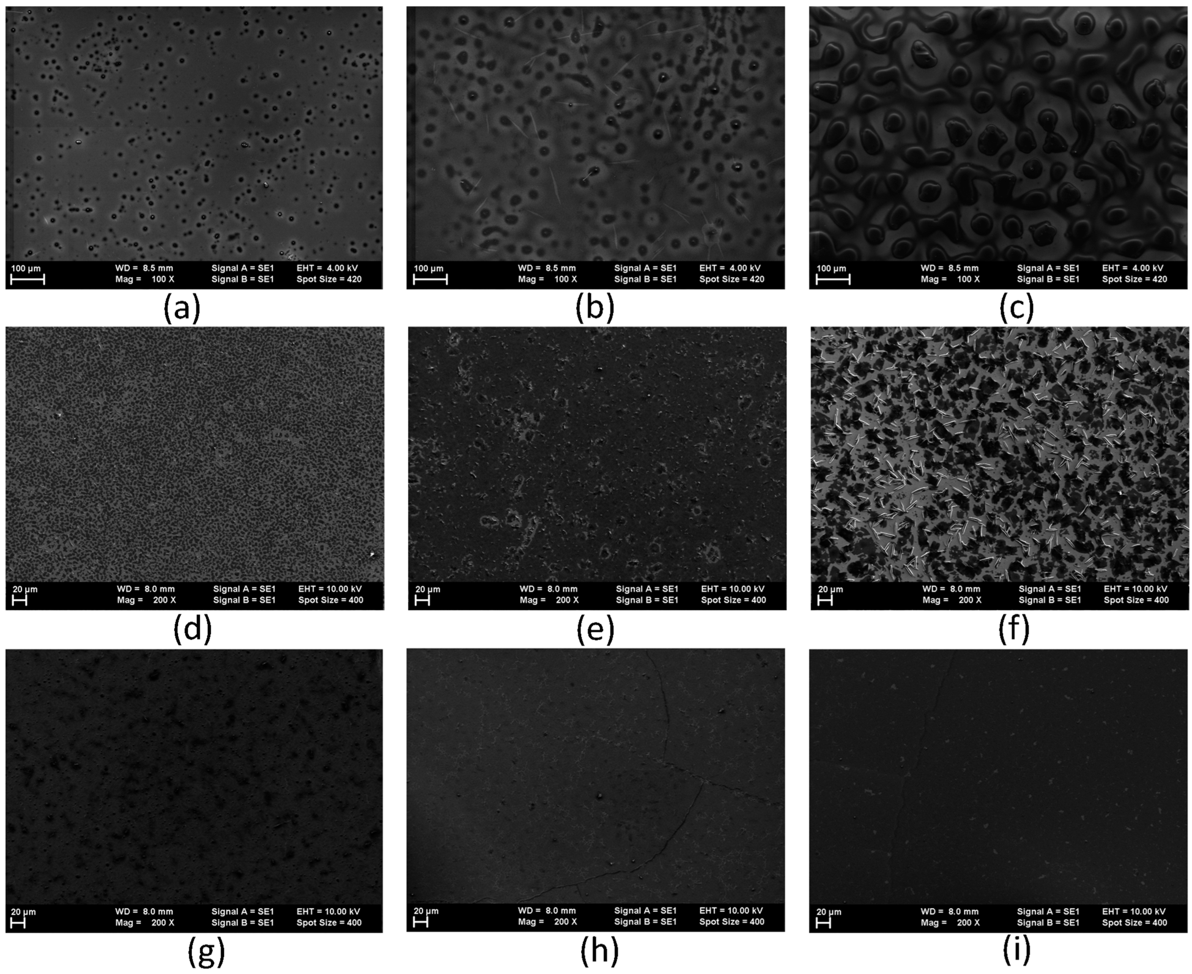Molecules 29 04155 g006