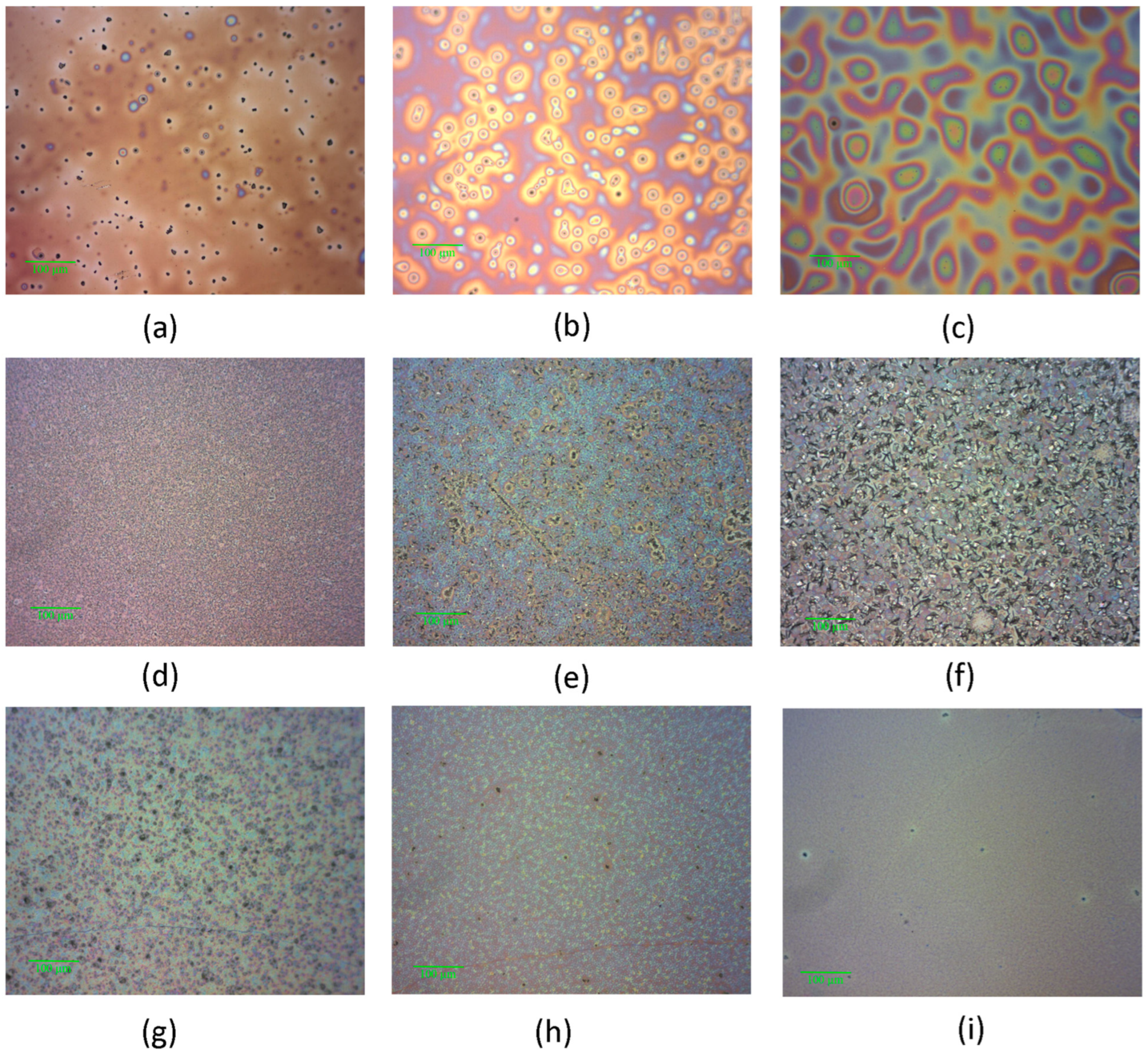 Molecules 29 04155 g007