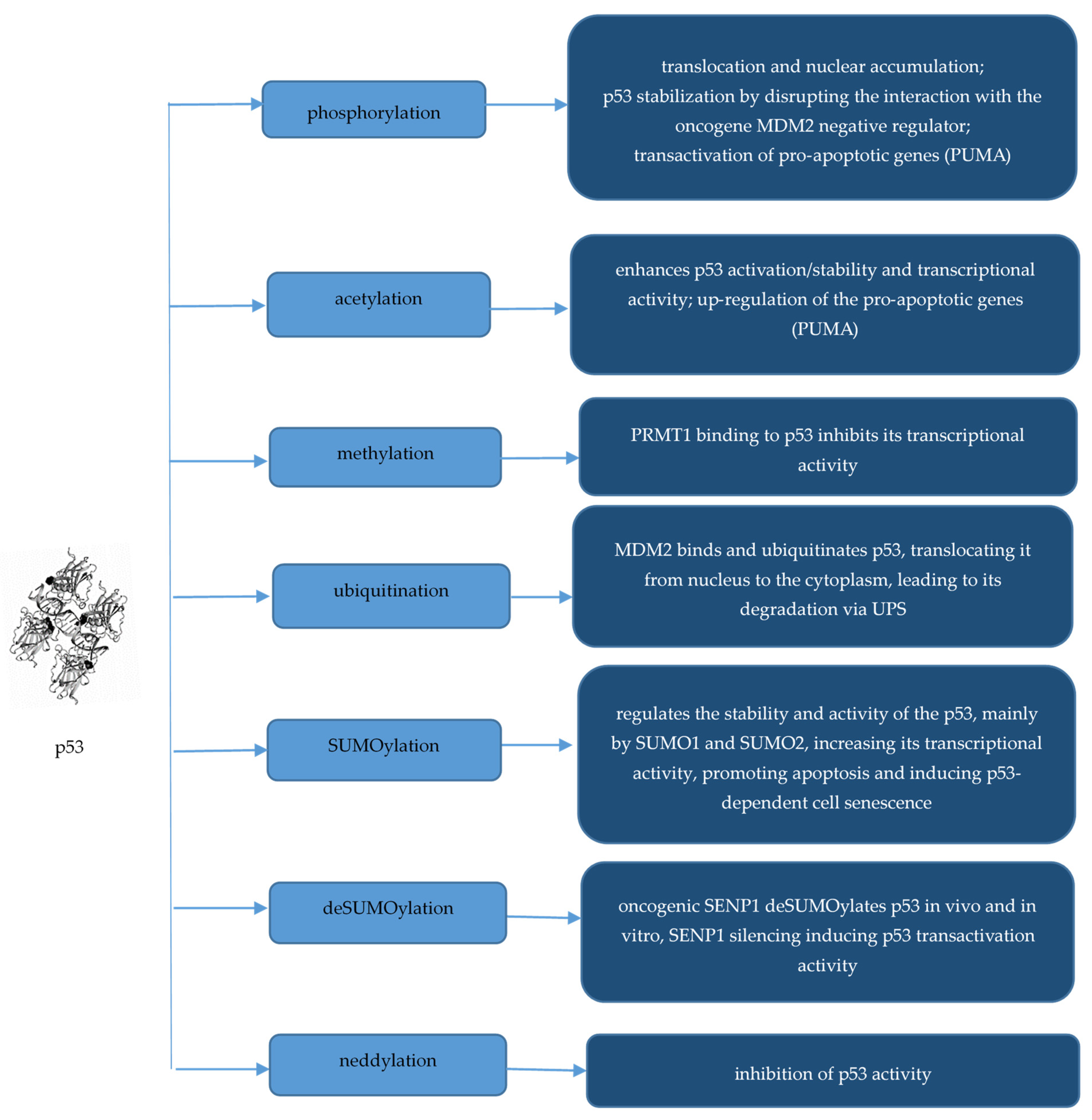 Molecules 29 04156 g002 Molecules 29 04156 g002
