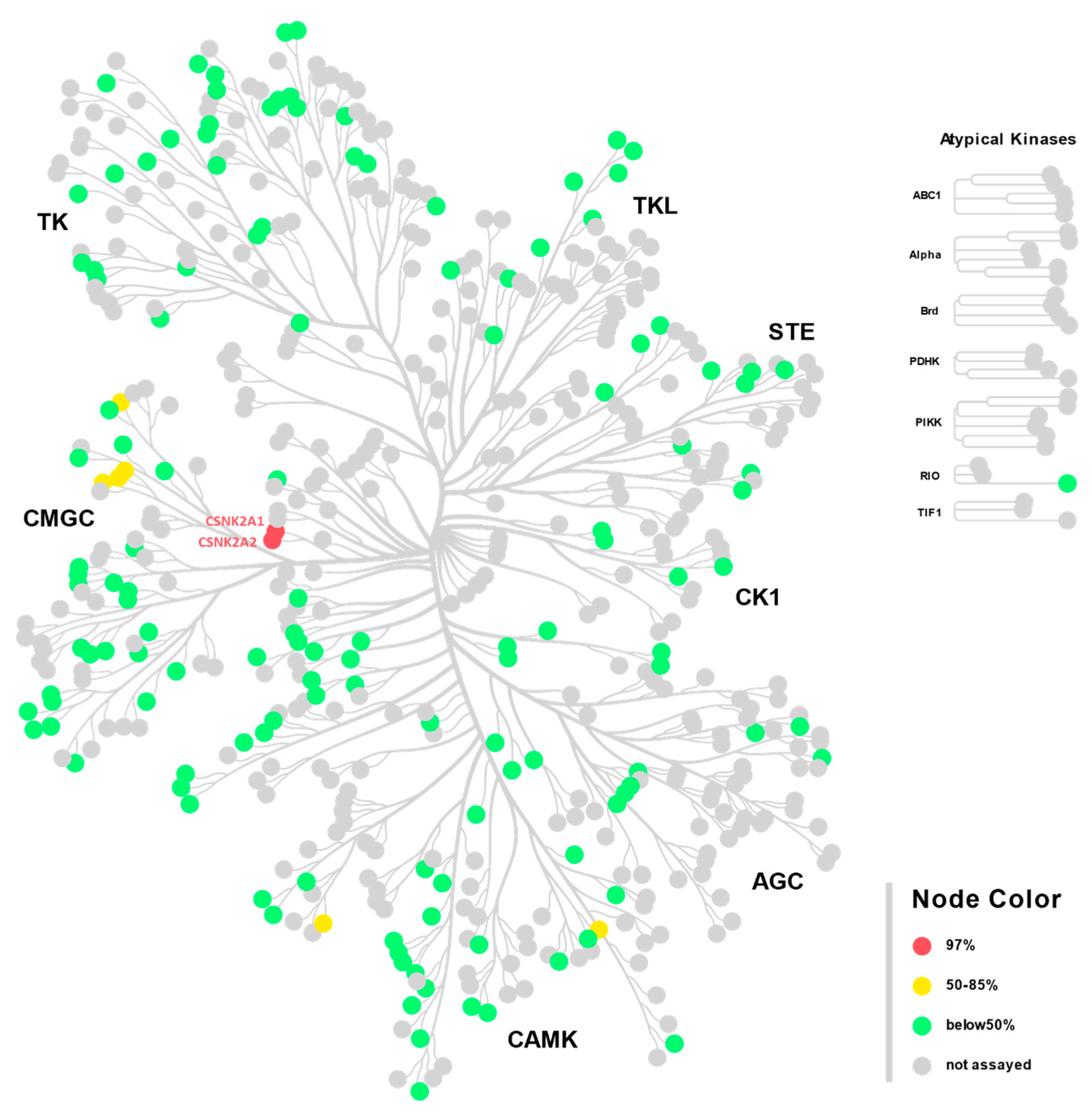 Molecules 29 04158 g001