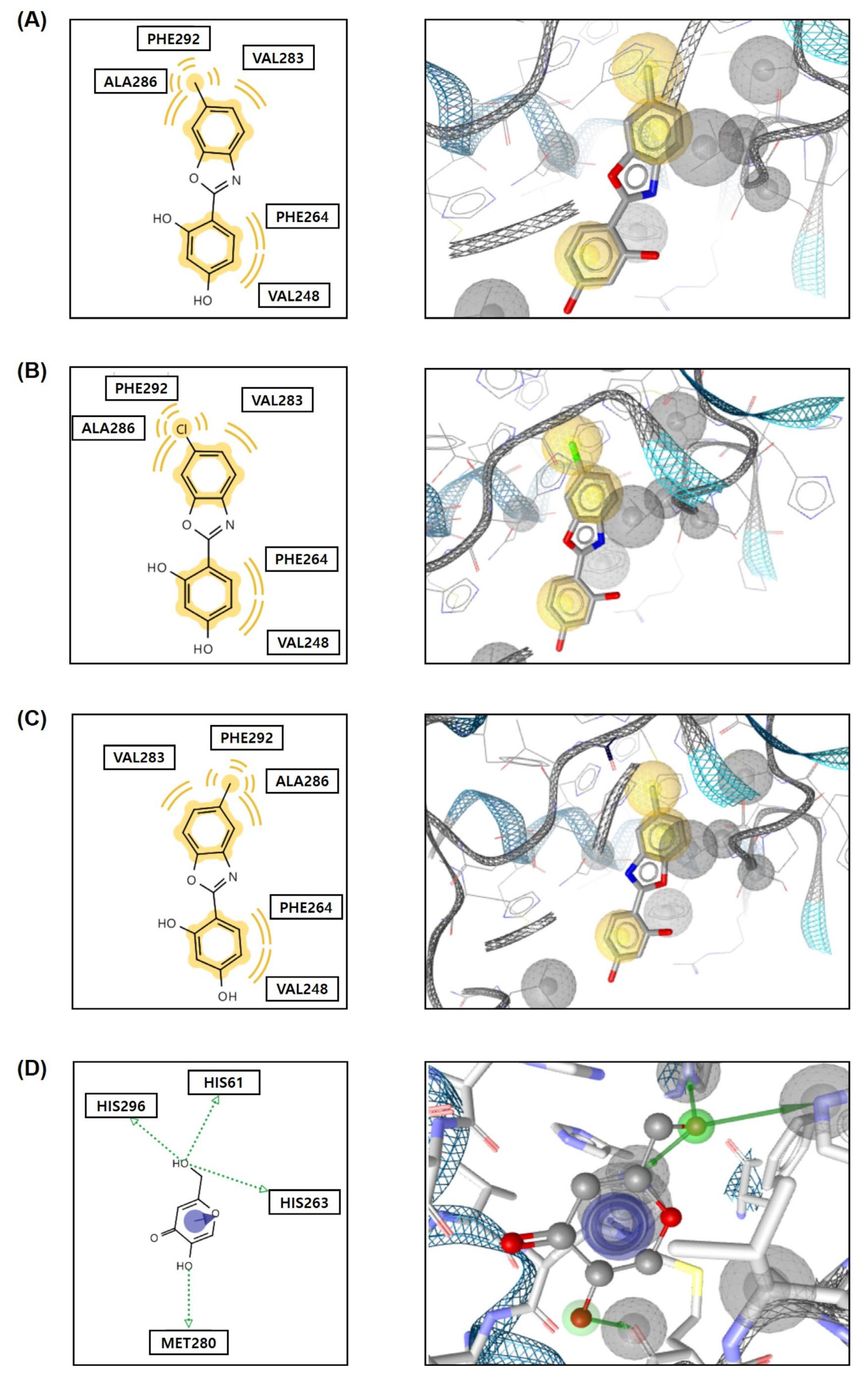 Molecules 29 04162 g006