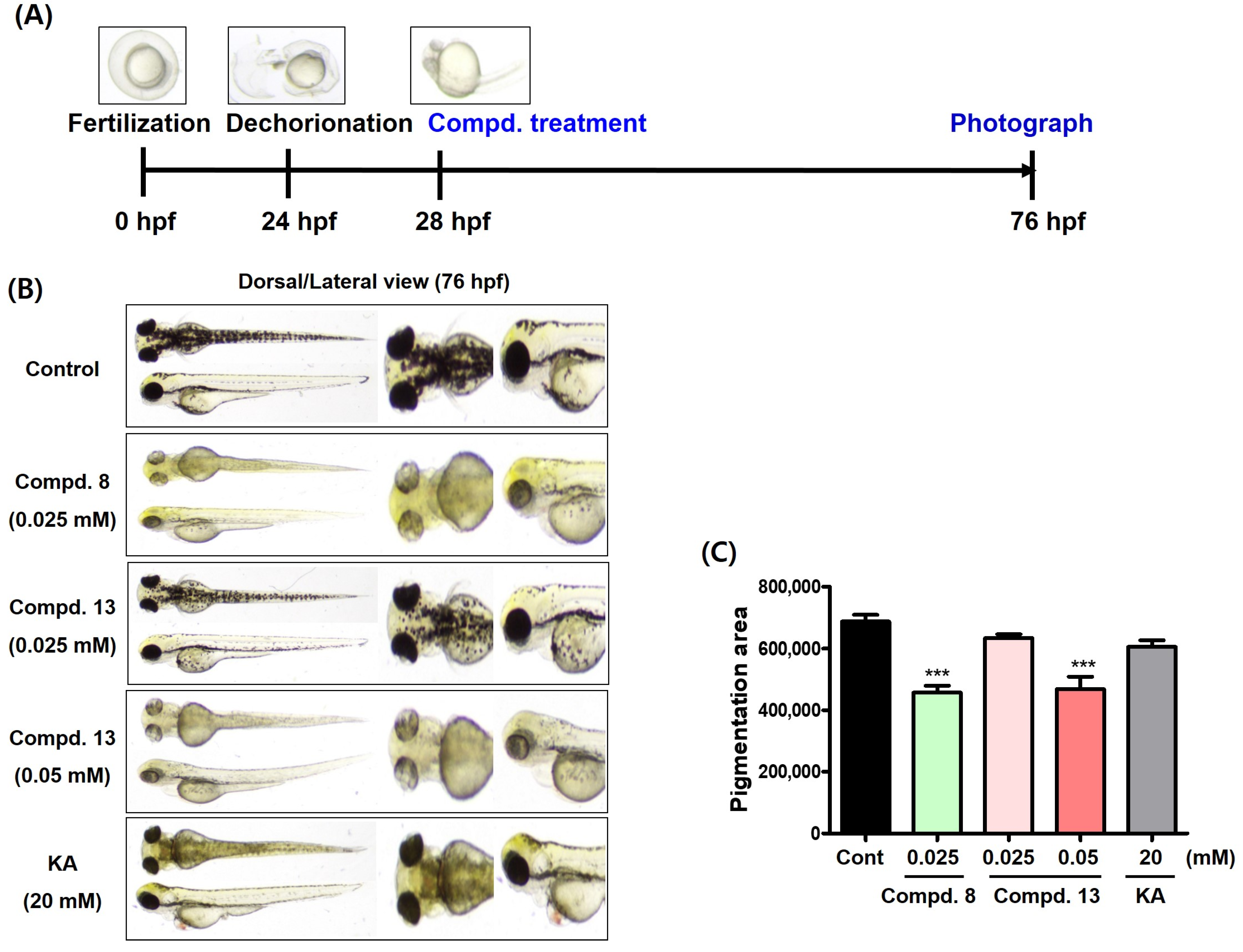 Molecules 29 04162 g013