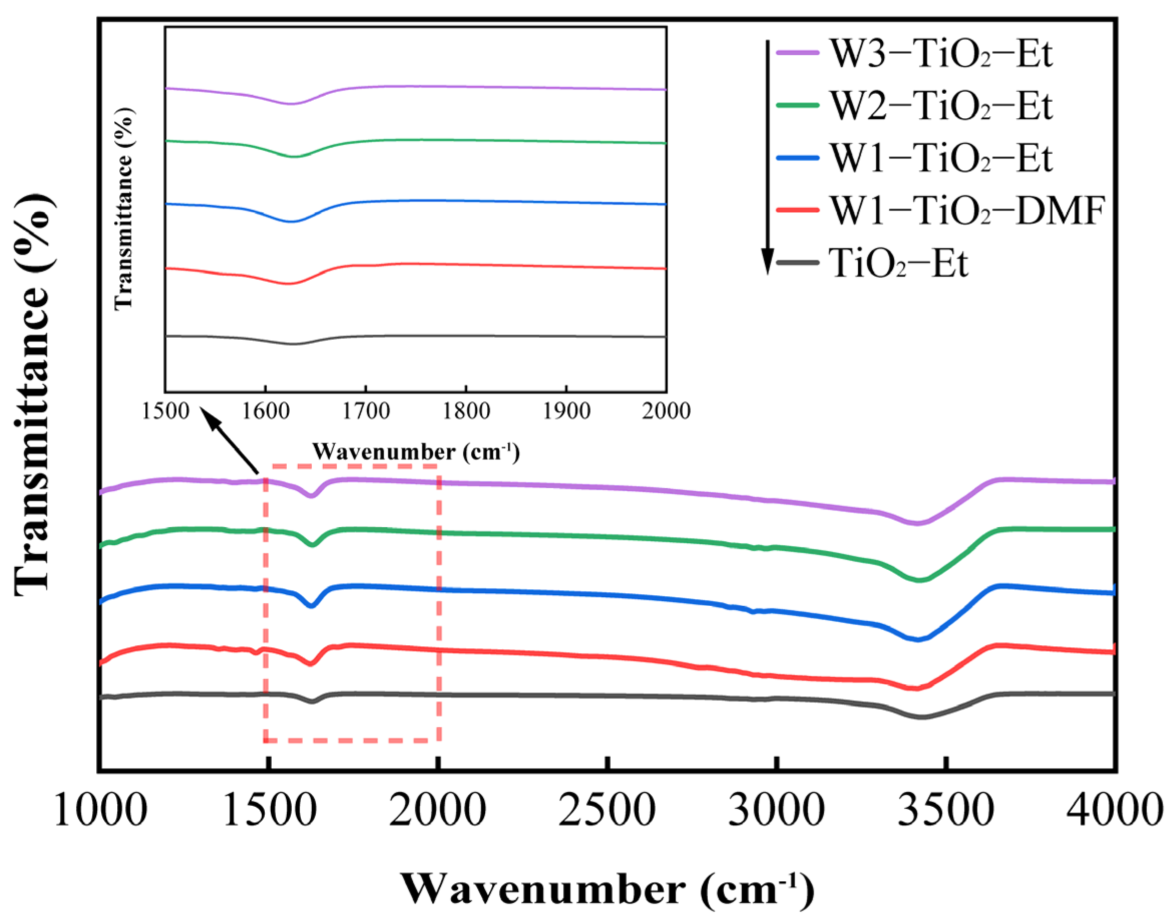 Molecules 29 04164 g002