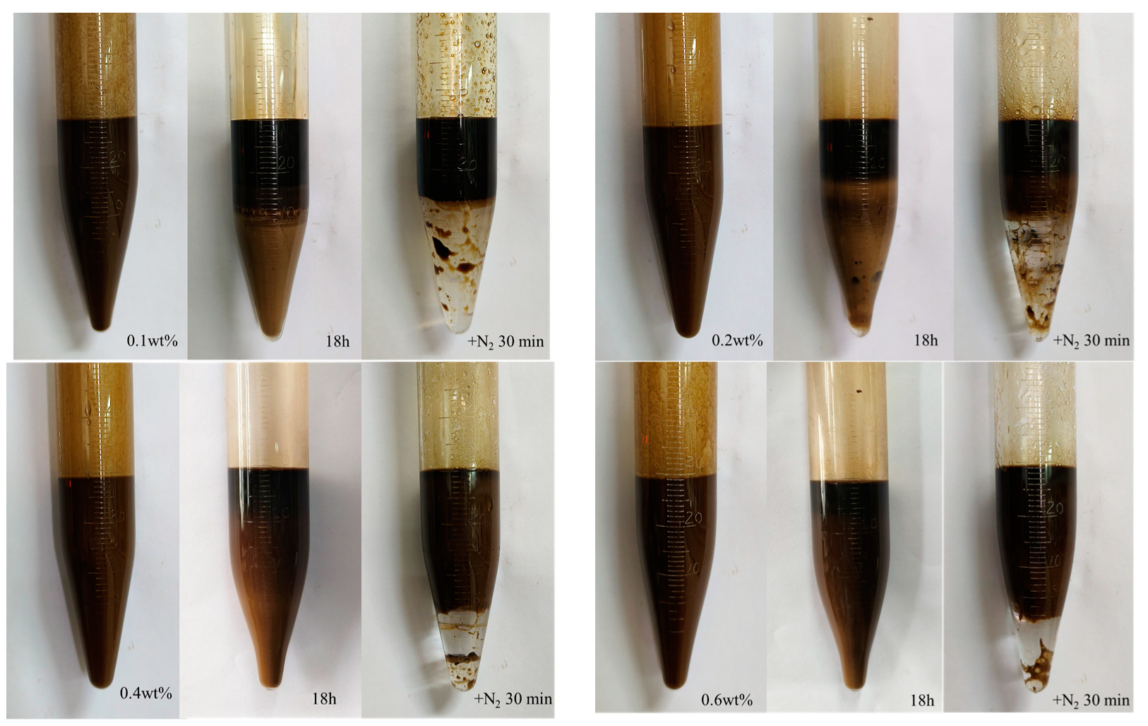 Molecules 29 04166 g008