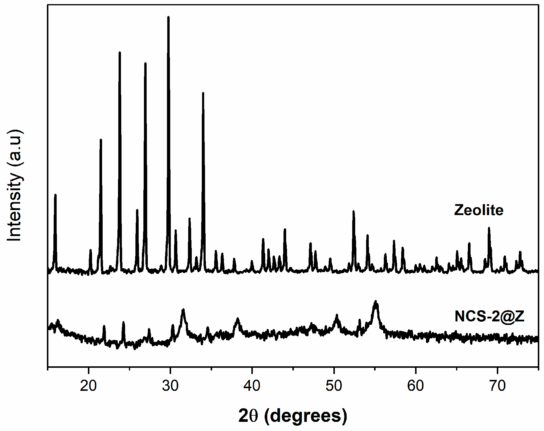 Molecules 29 04167 g012
