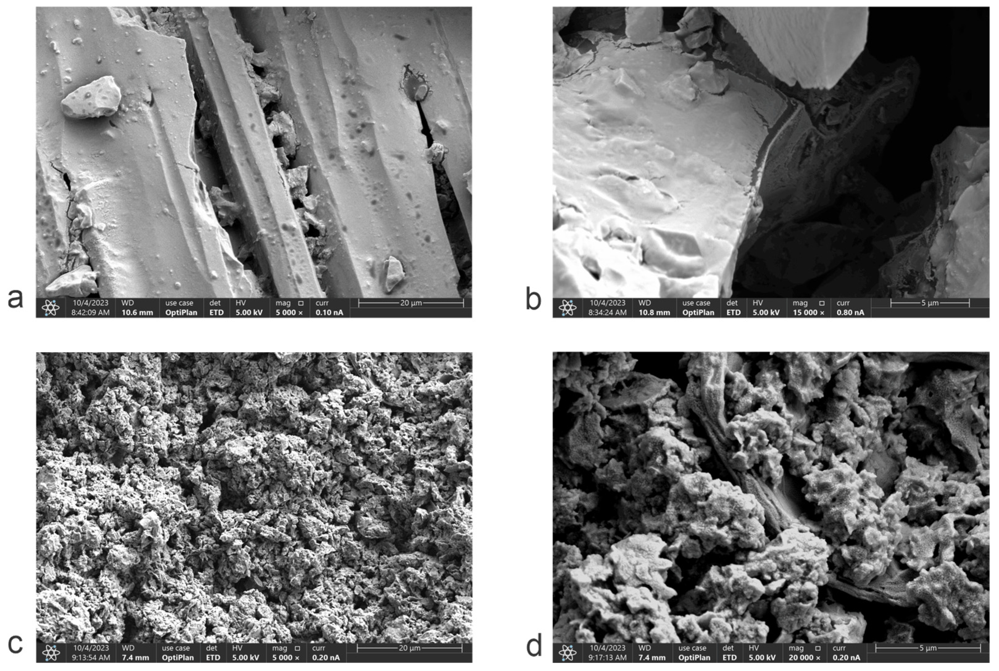 Molecules 29 04168 g006