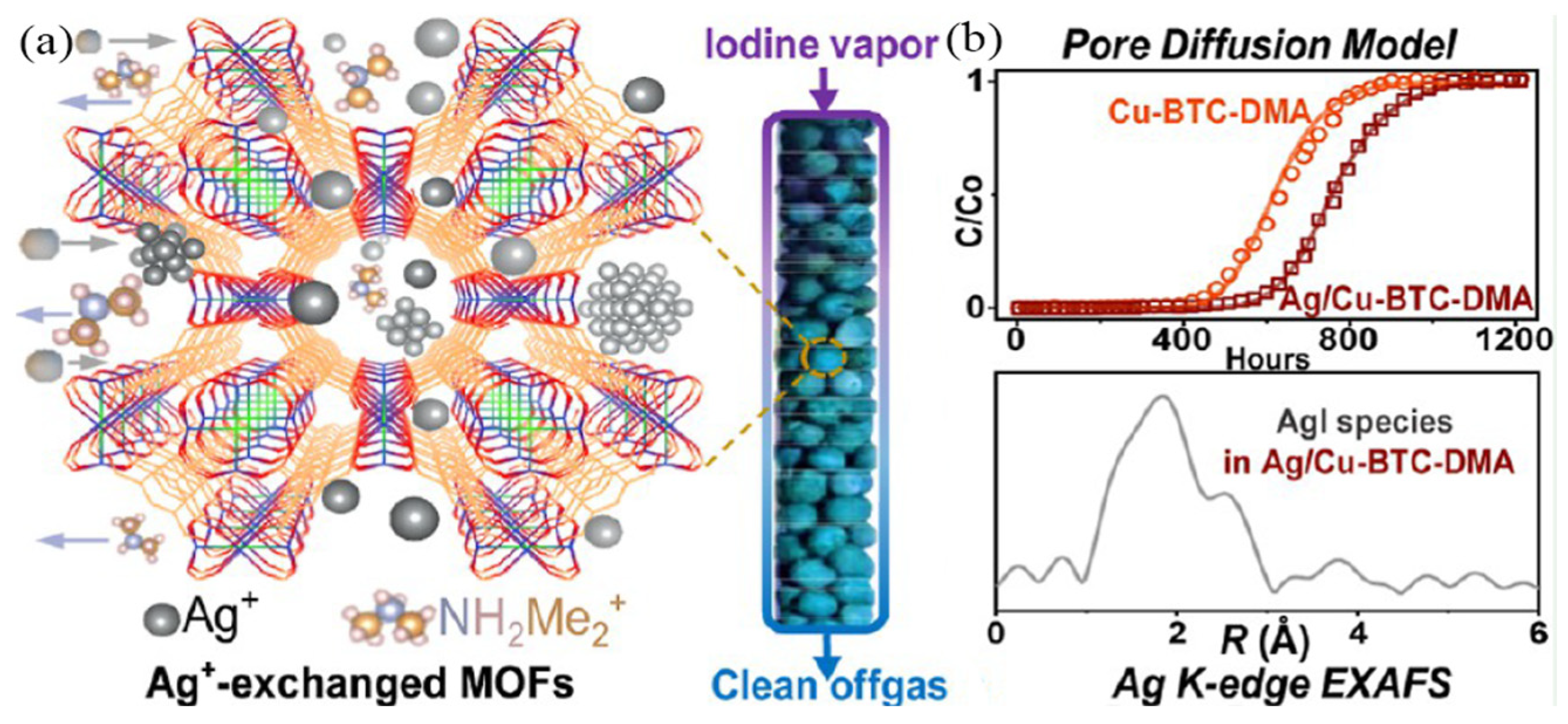 Molecules 29 04170 g009