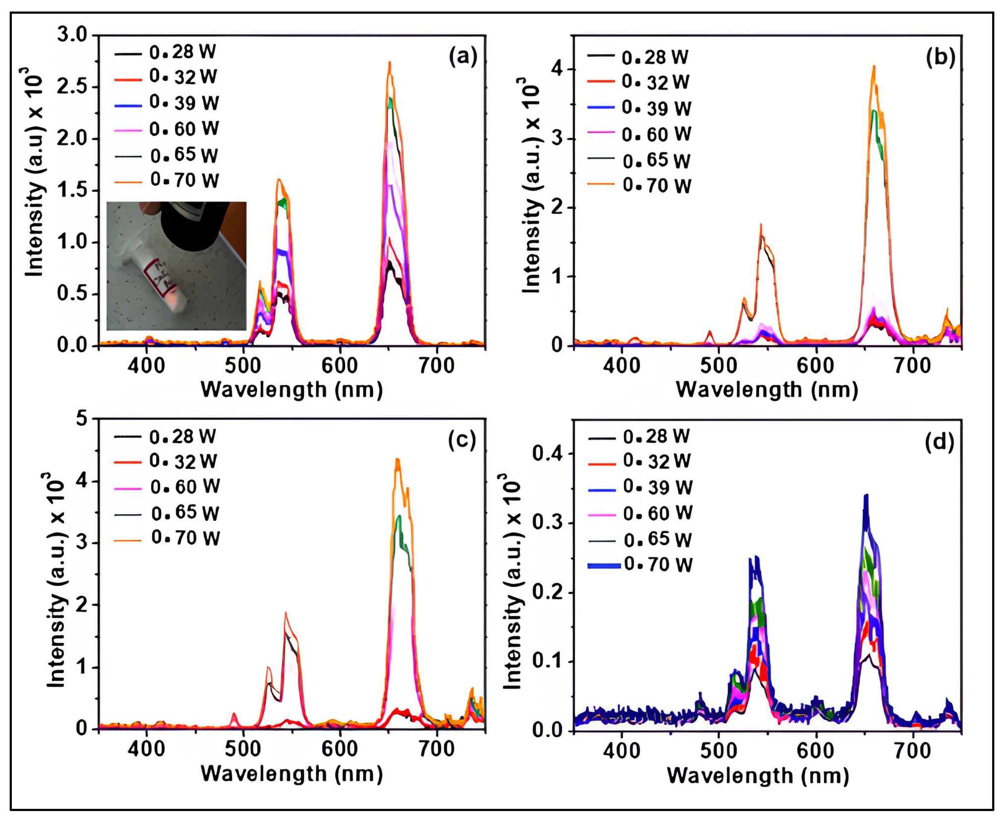 Molecules 29 04177 g004