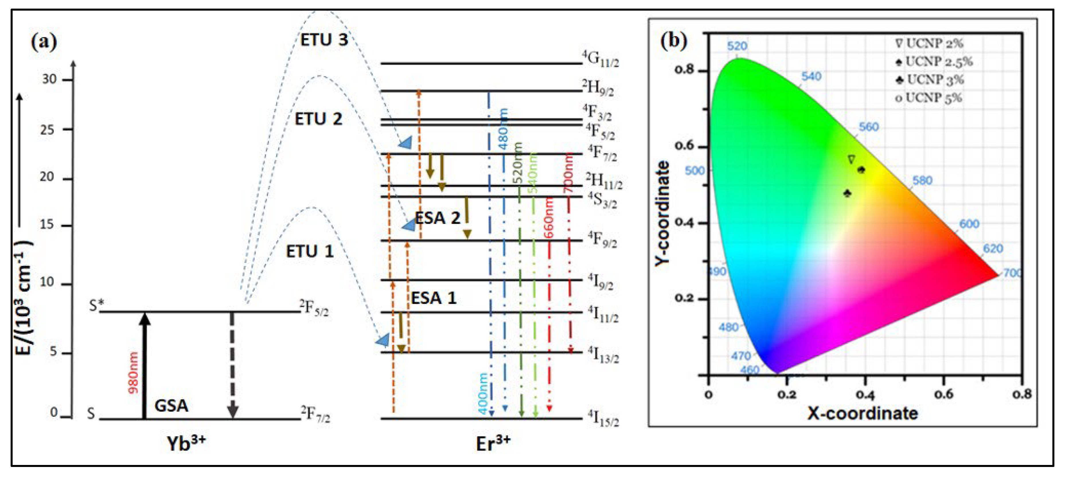 Molecules 29 04177 g005