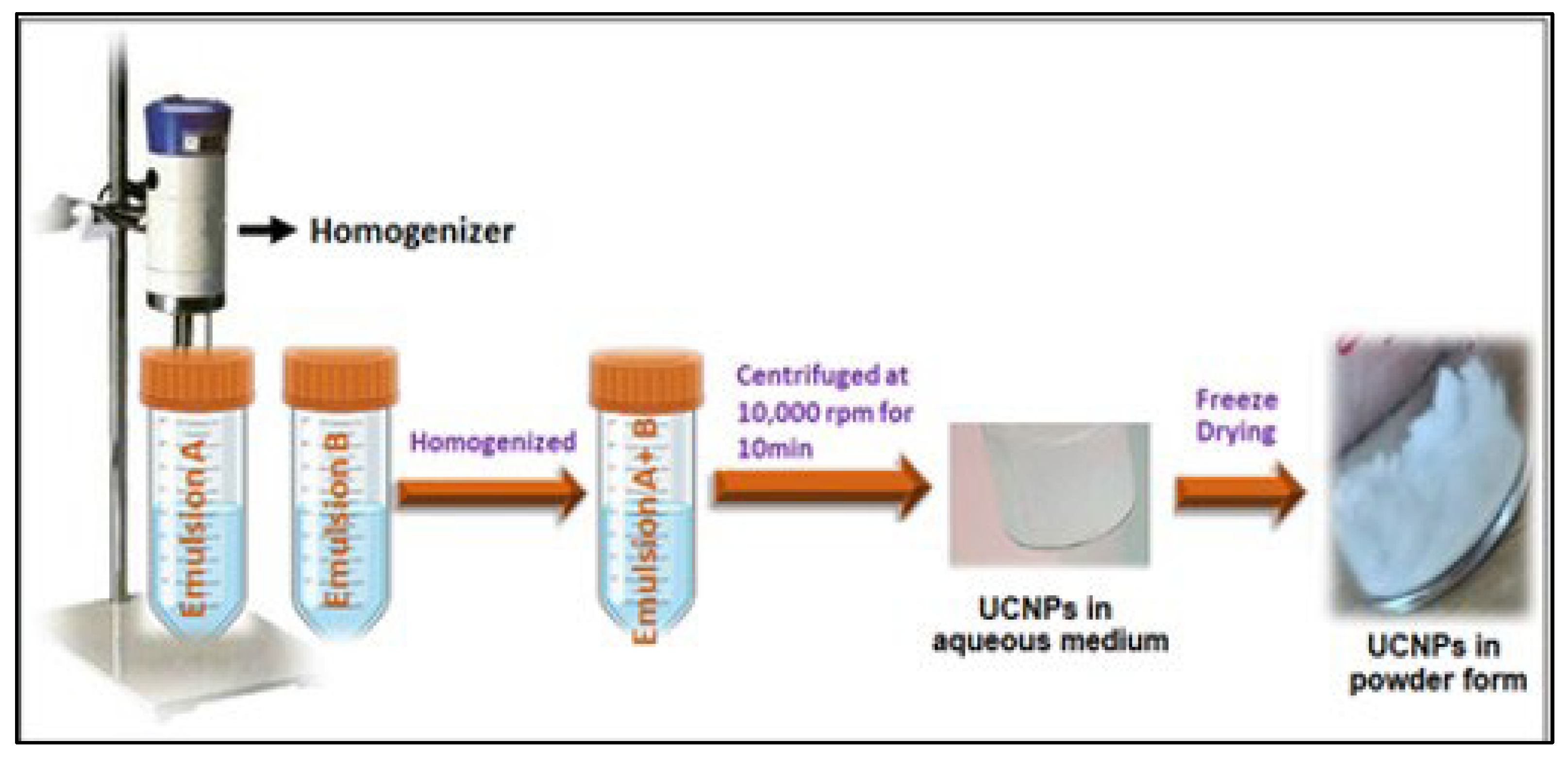 Molecules 29 04177 sch001
