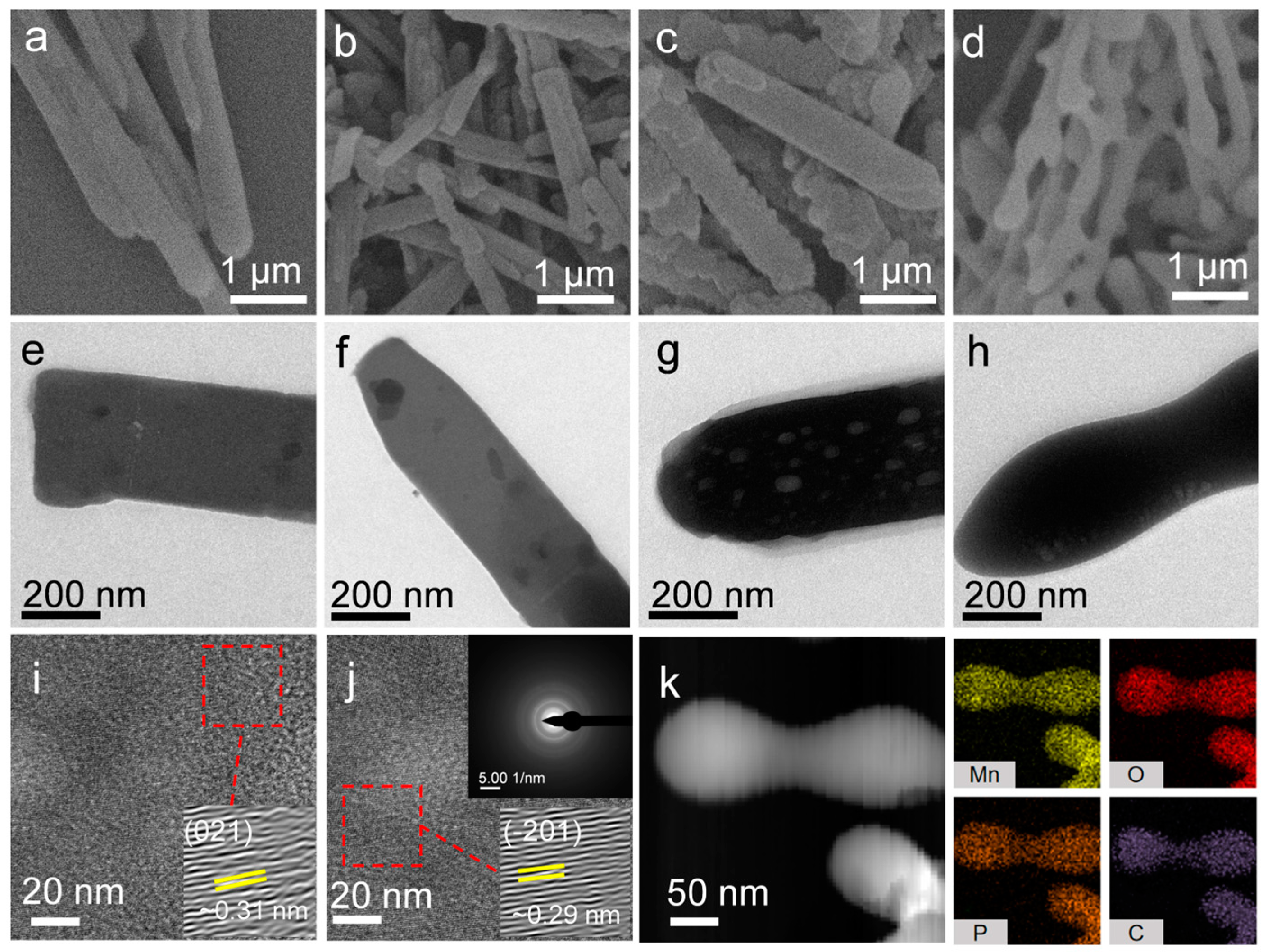 Molecules 29 04186 g002
