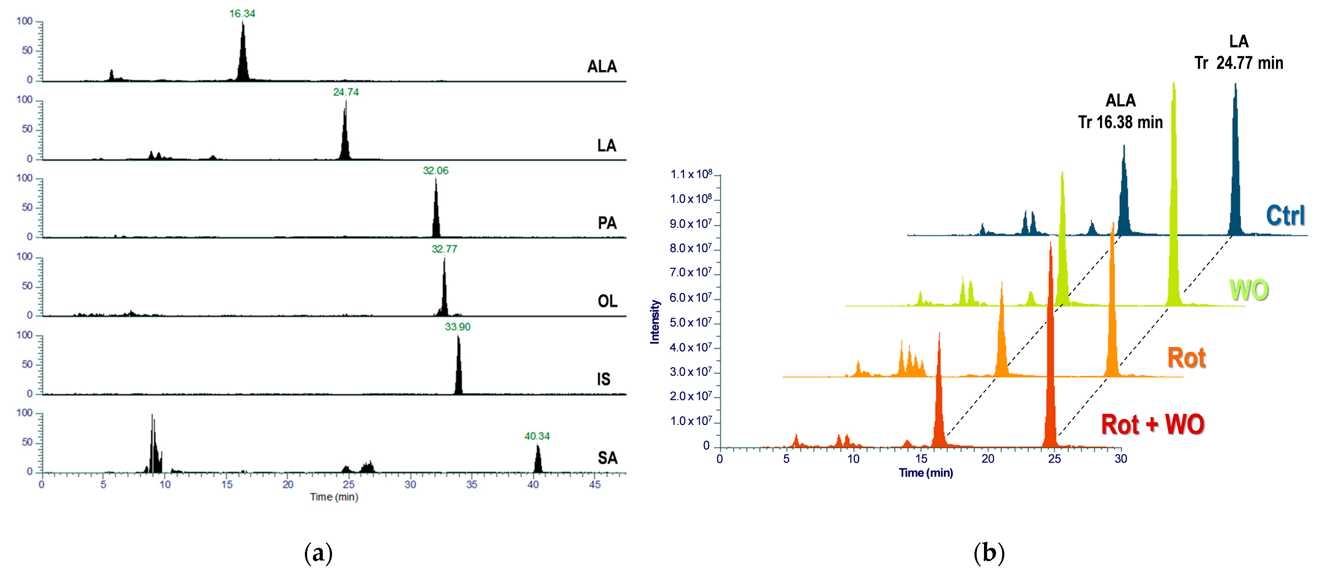 Molecules 29 04190 g006