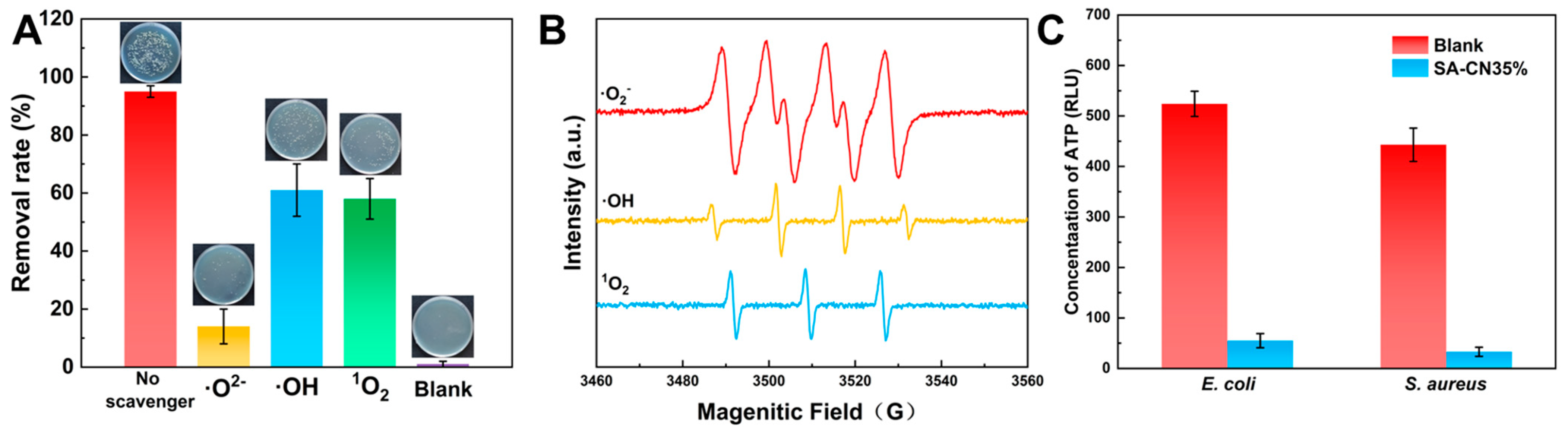 Molecules 29 04192 g005