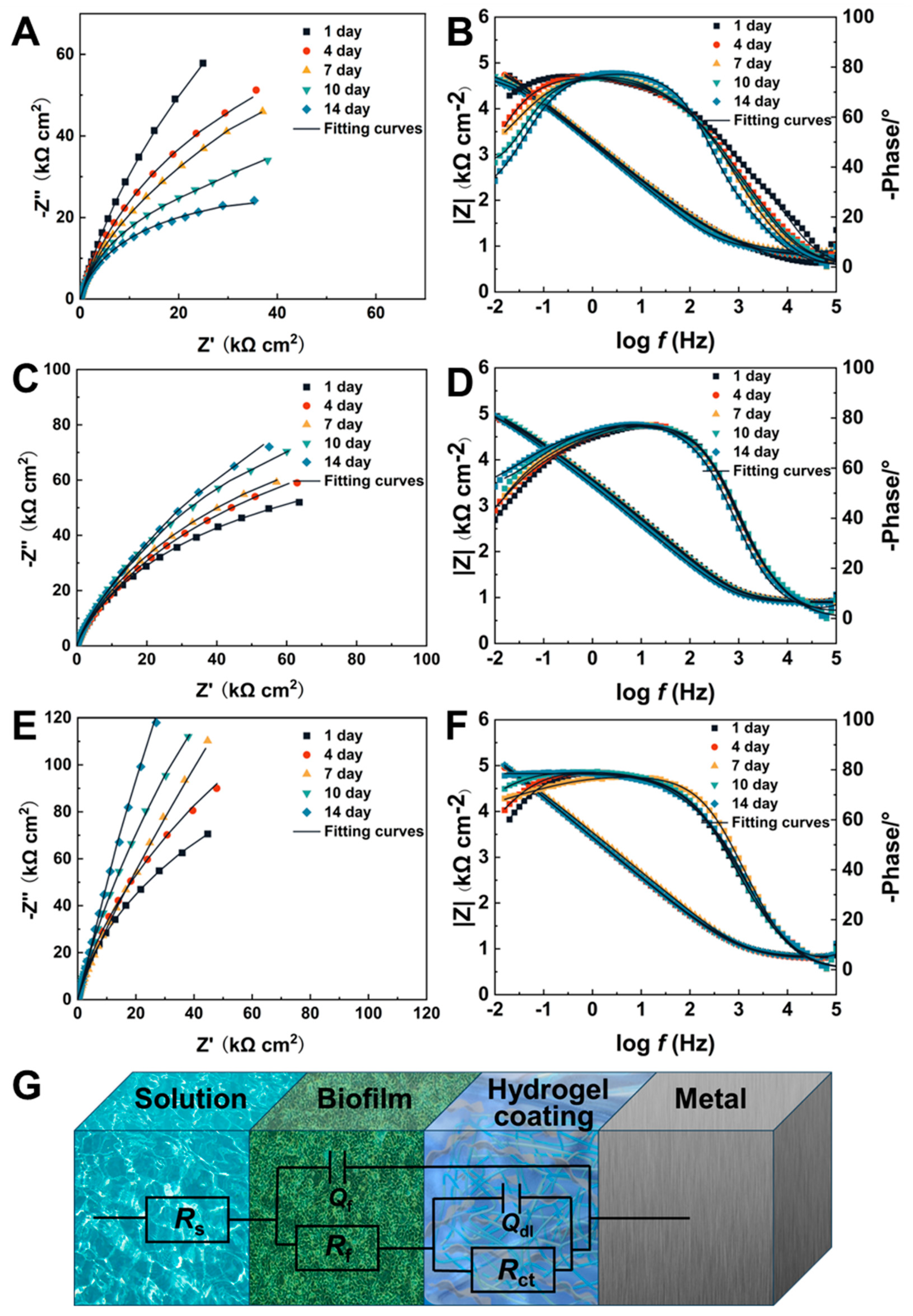 Molecules 29 04192 g008