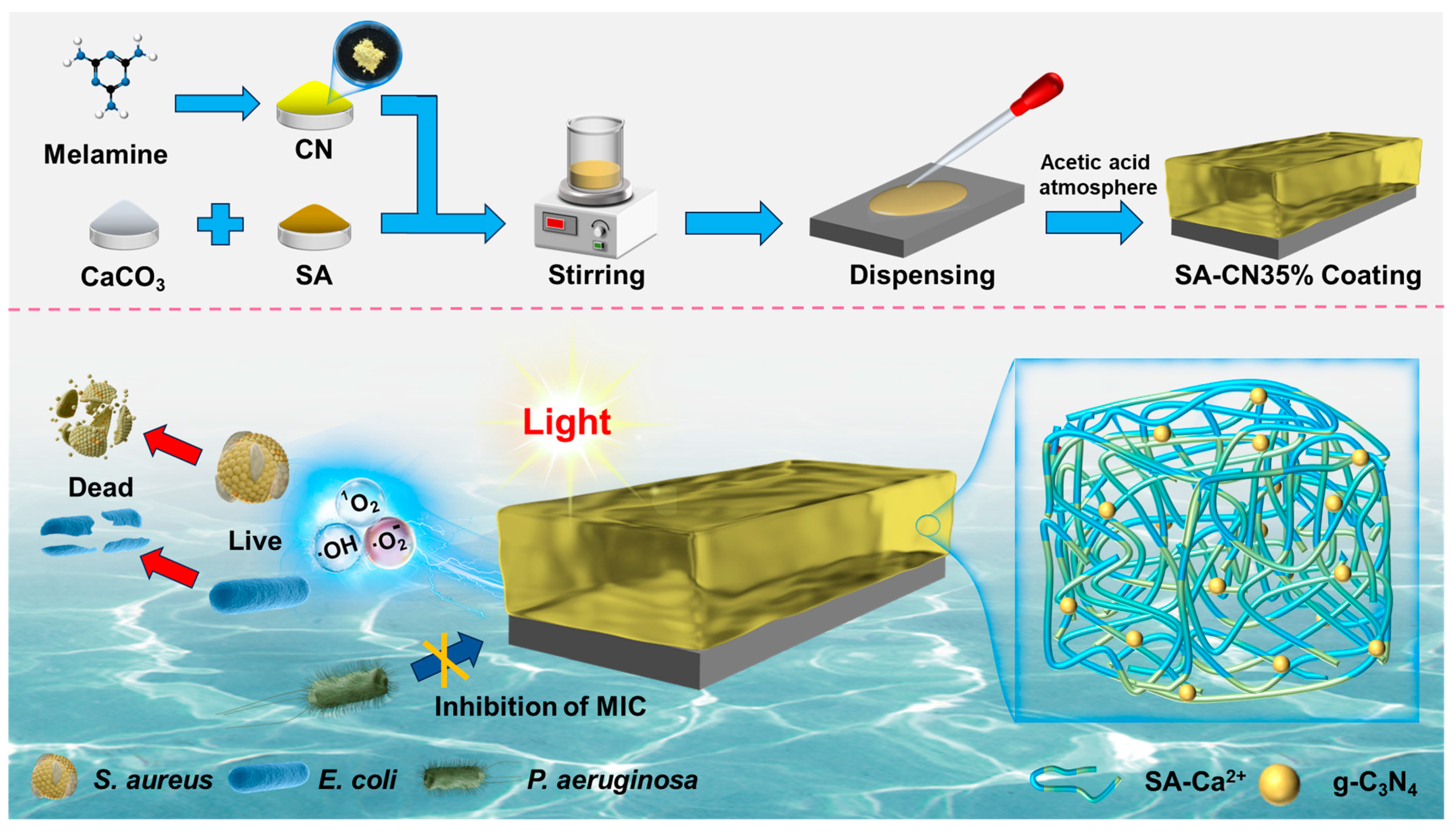 Molecules 29 04192 g009