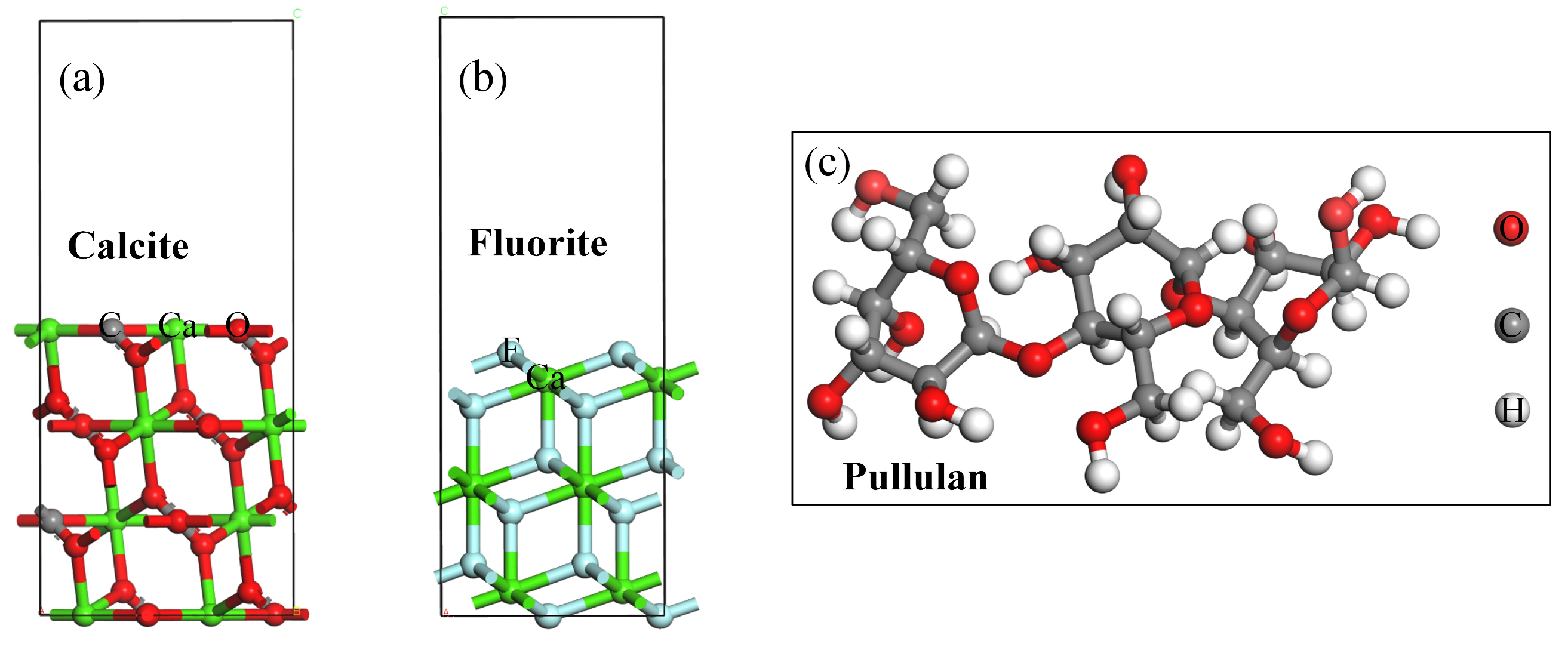 Molecules 29 04194 g004