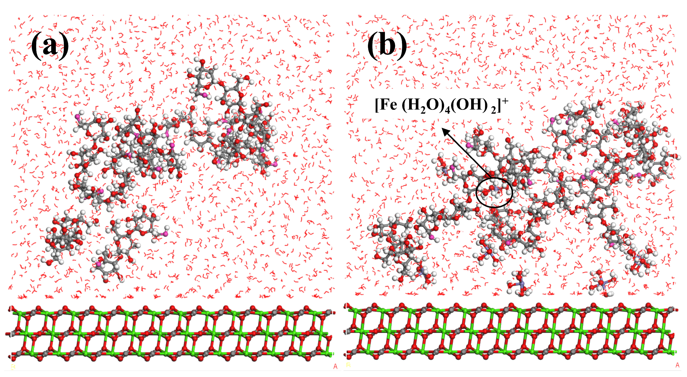 Molecules 29 04194 g012