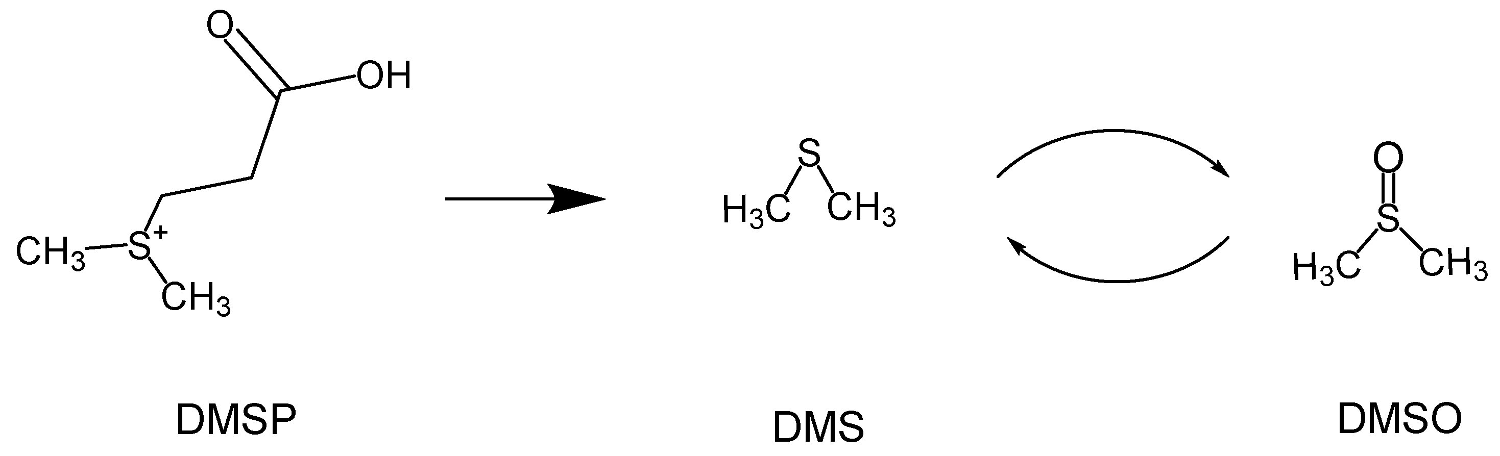 Molecules 29 04197 sch001