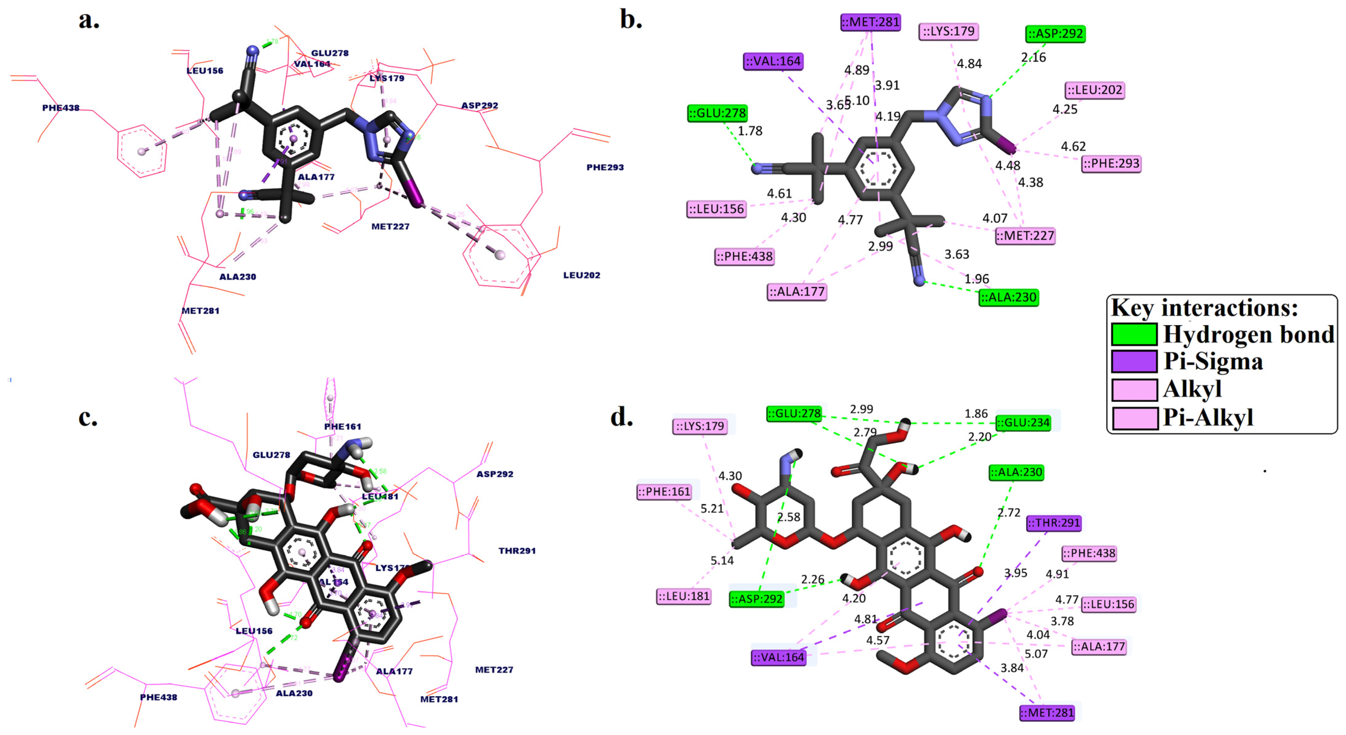 Molecules 29 04203 g002 Molecules 29 04203 g002