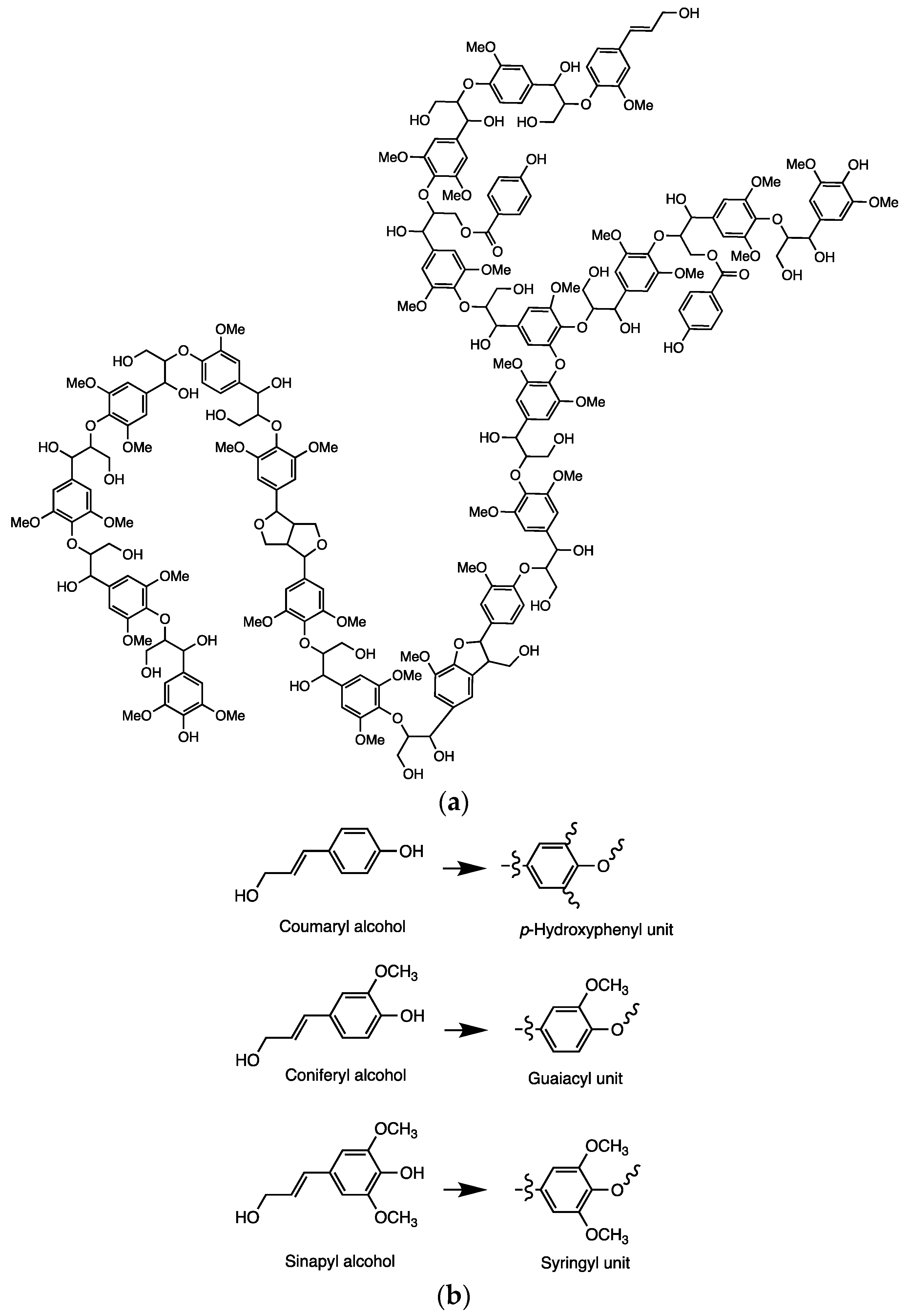 Molecules 29 04209 g001