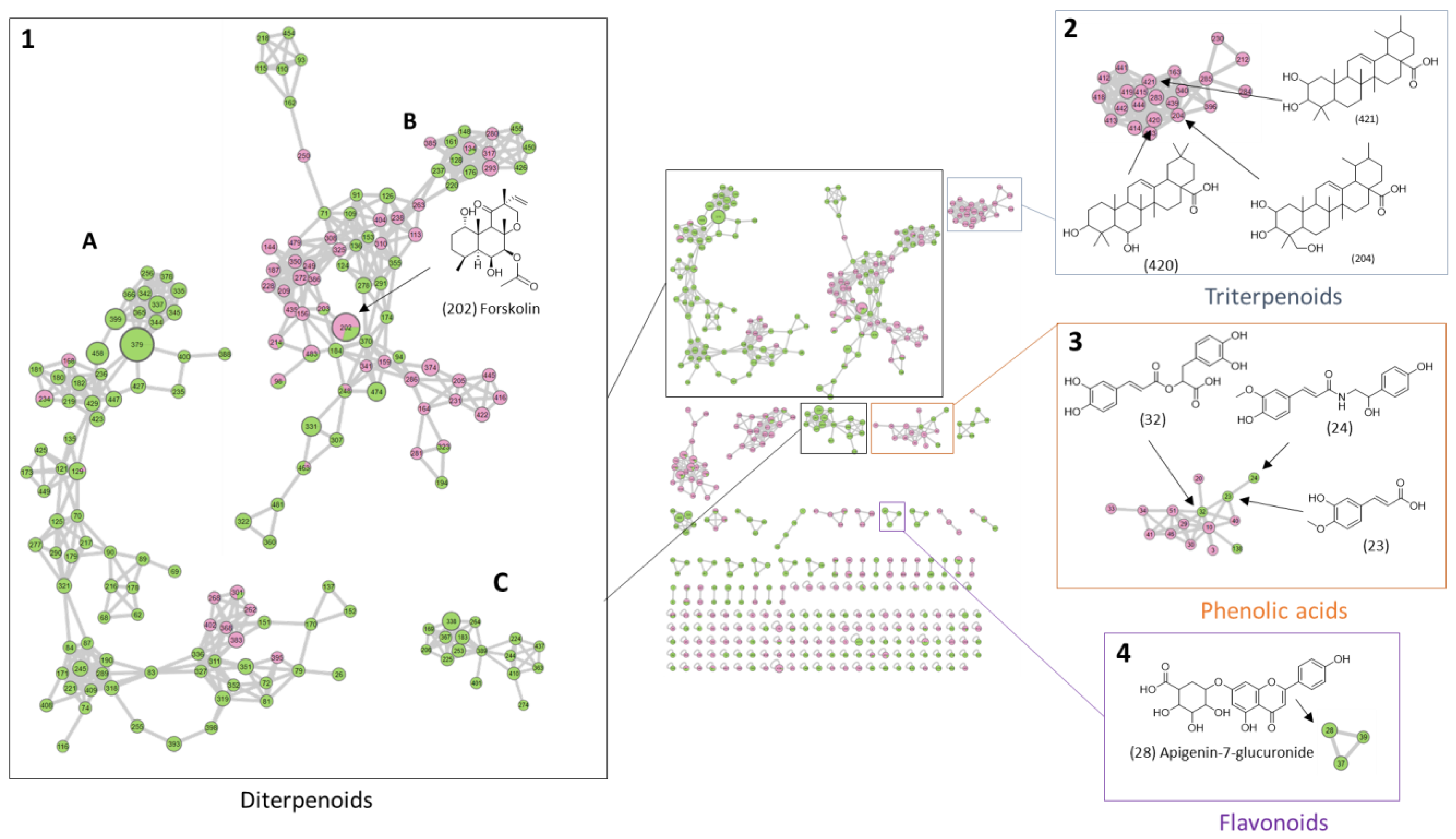 Molecules 29 04215 g003