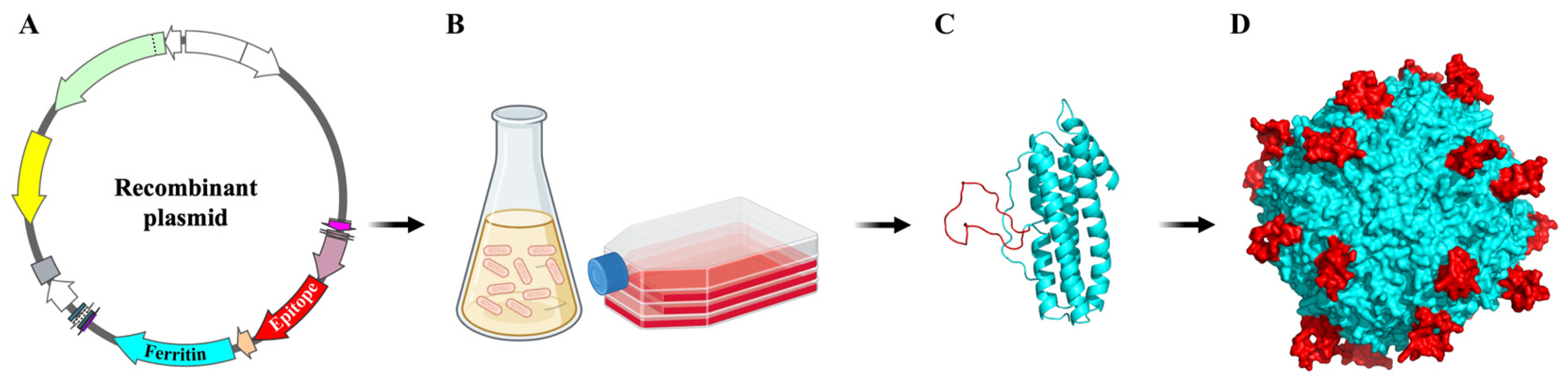 Molecules 29 04221 g003
