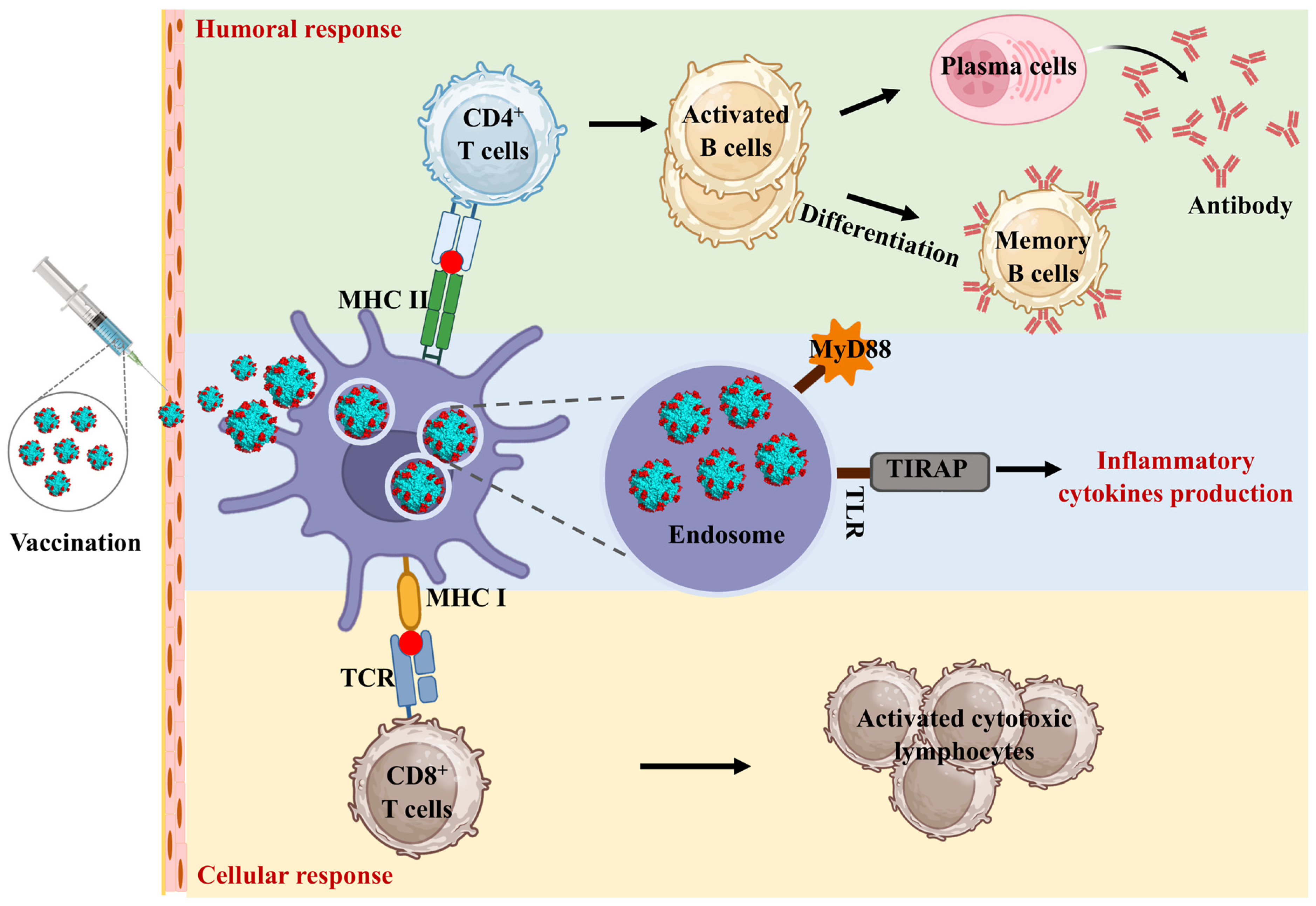 Molecules 29 04221 g004