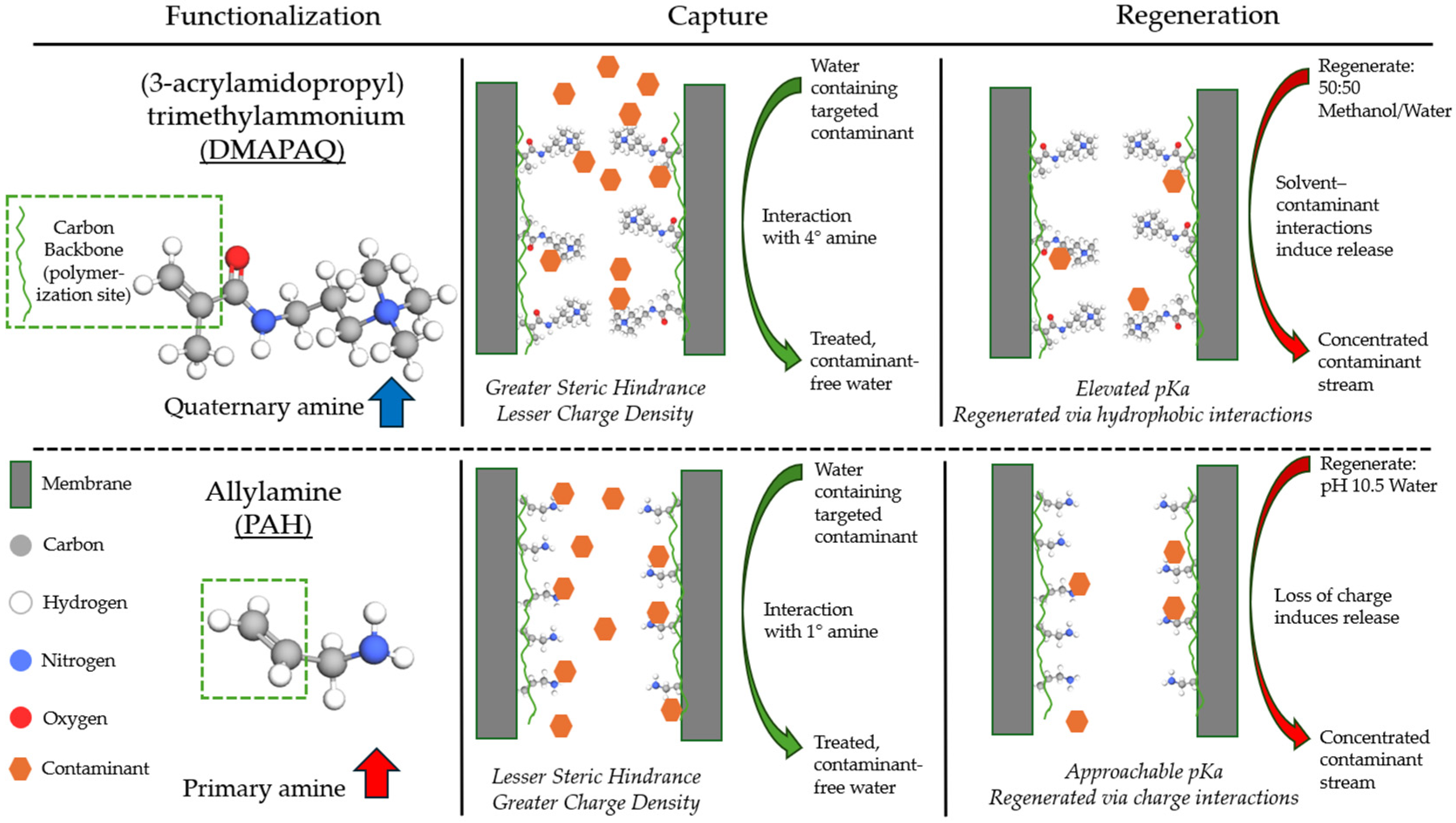 Molecules 29 04229 g001