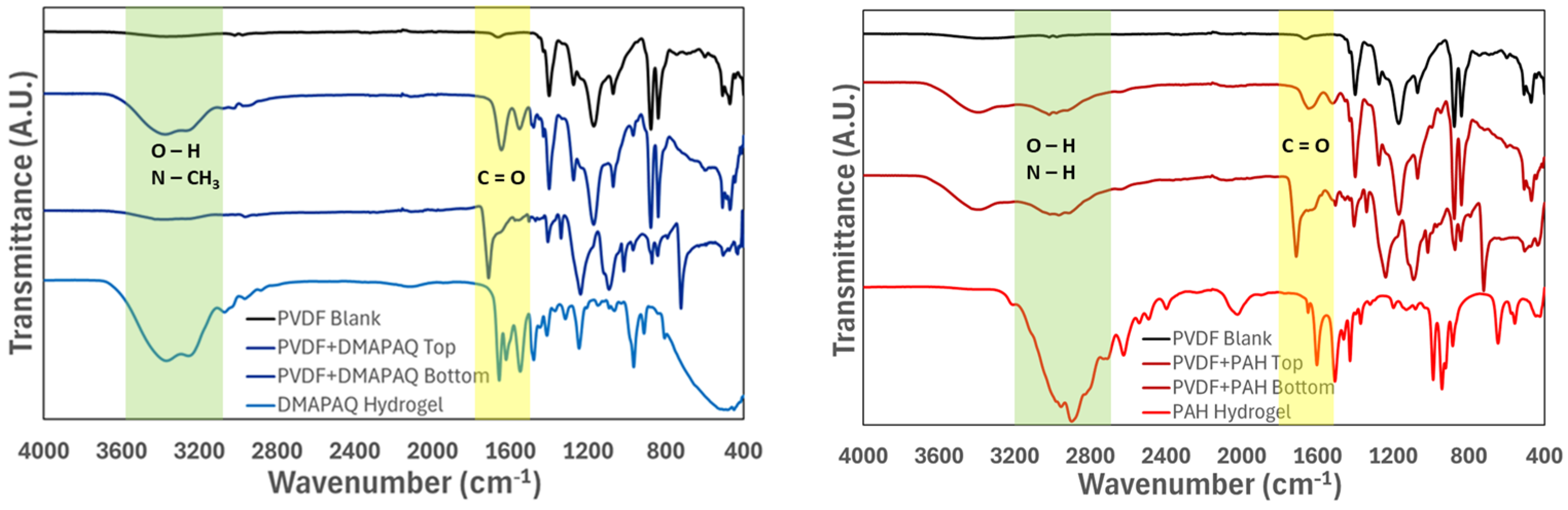 Molecules 29 04229 g002