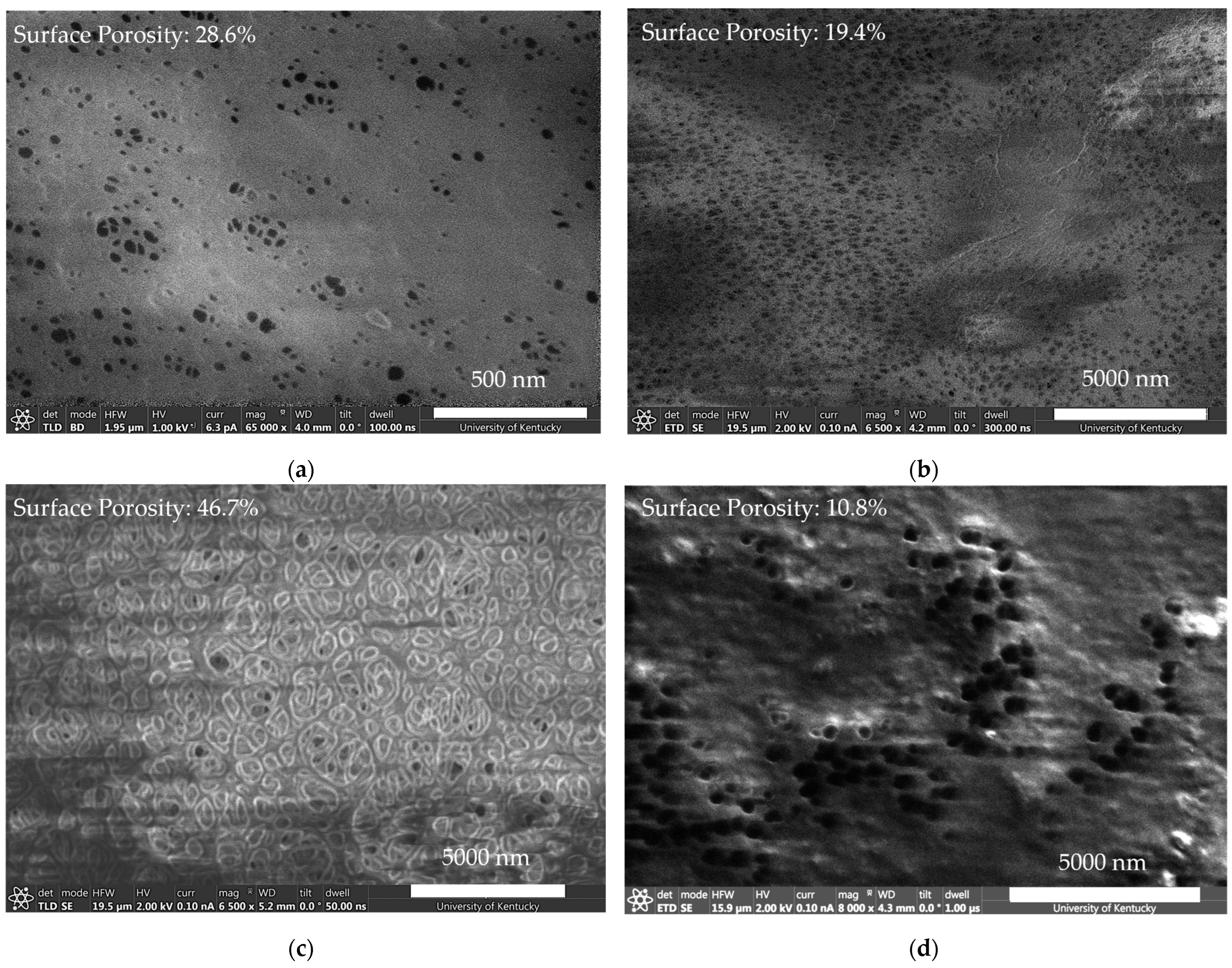 Molecules 29 04229 g003