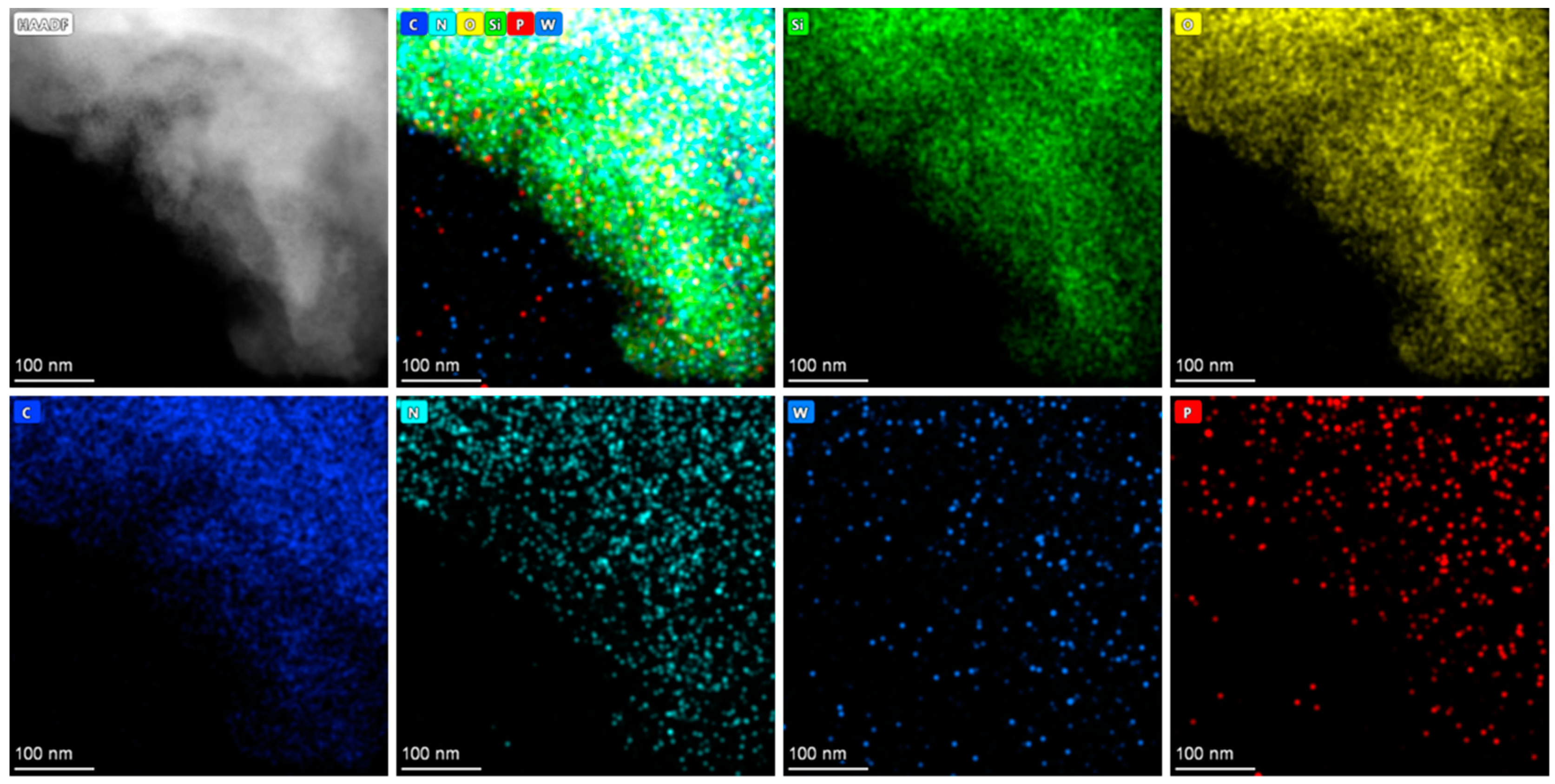 Molecules 29 04230 g007