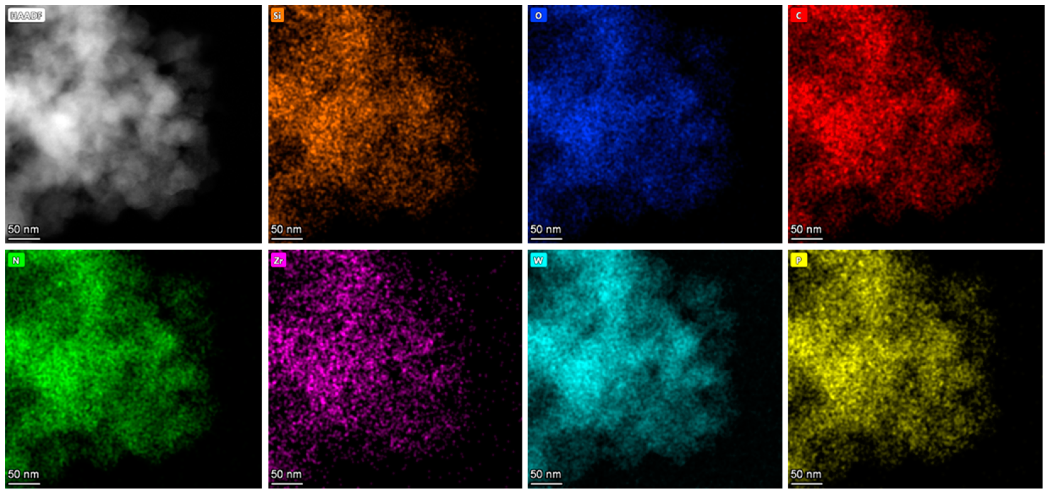 Molecules 29 04230 g008