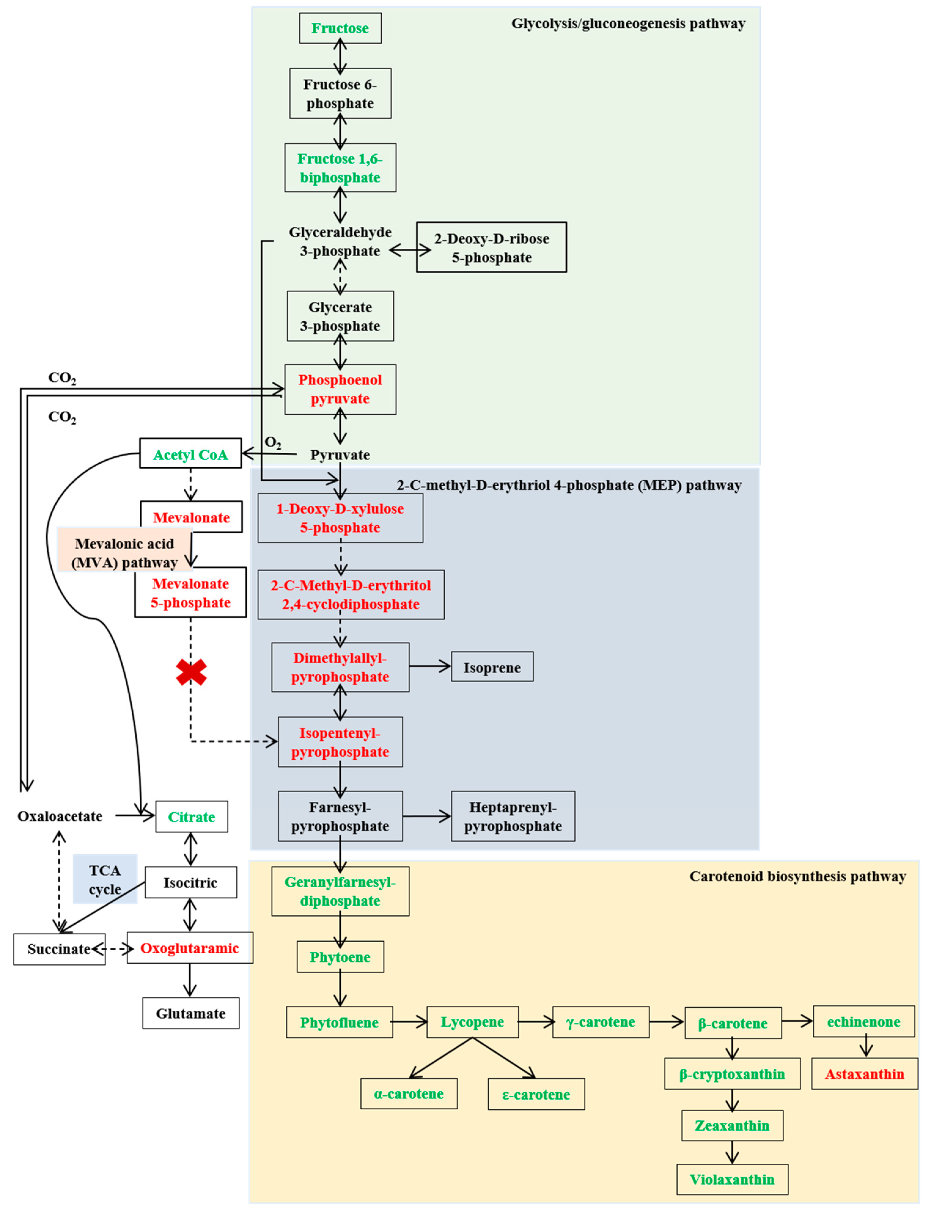 Molecules 29 04235 g004