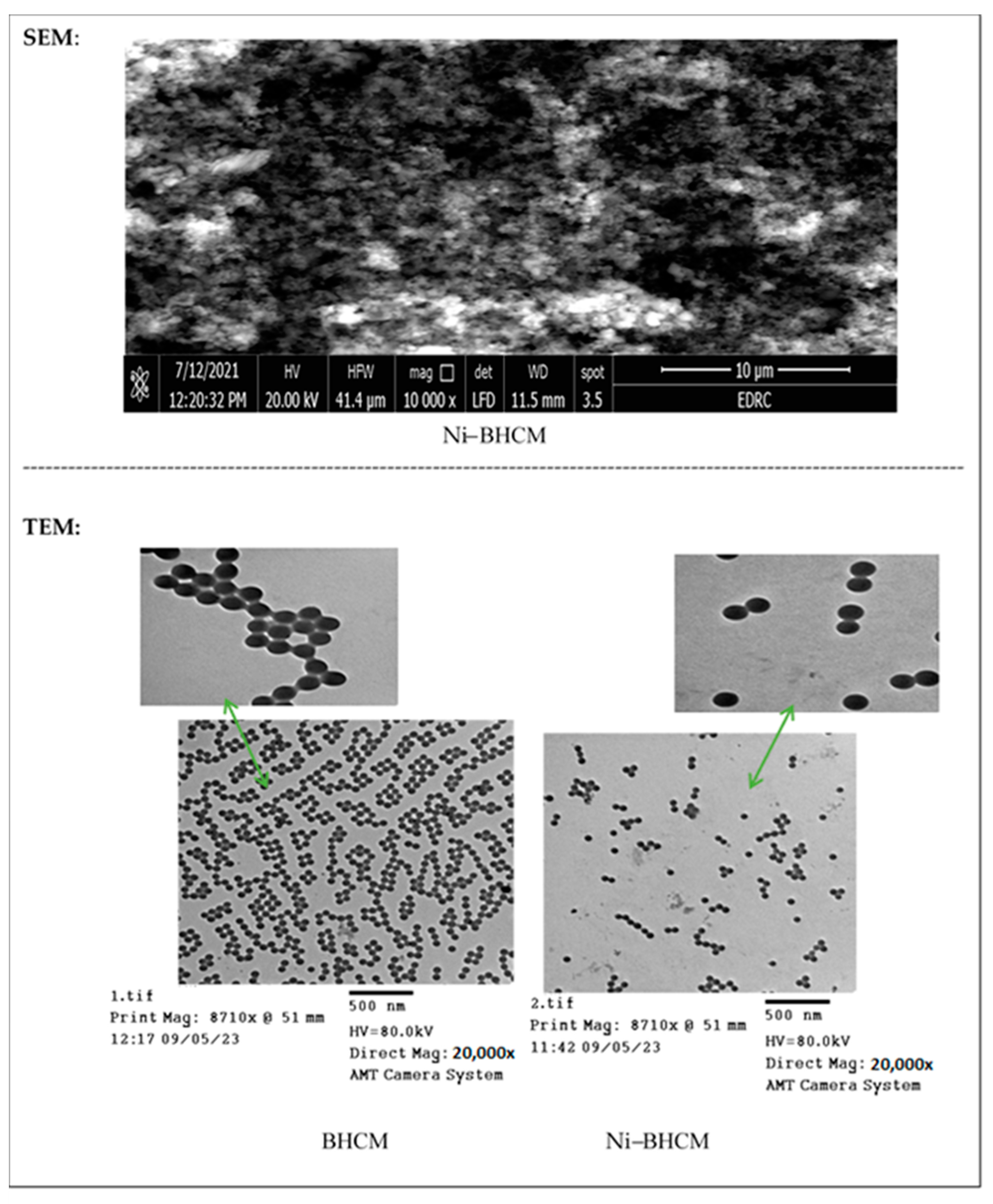 Molecules 29 04239 g001 Molecules 29 04239 g001