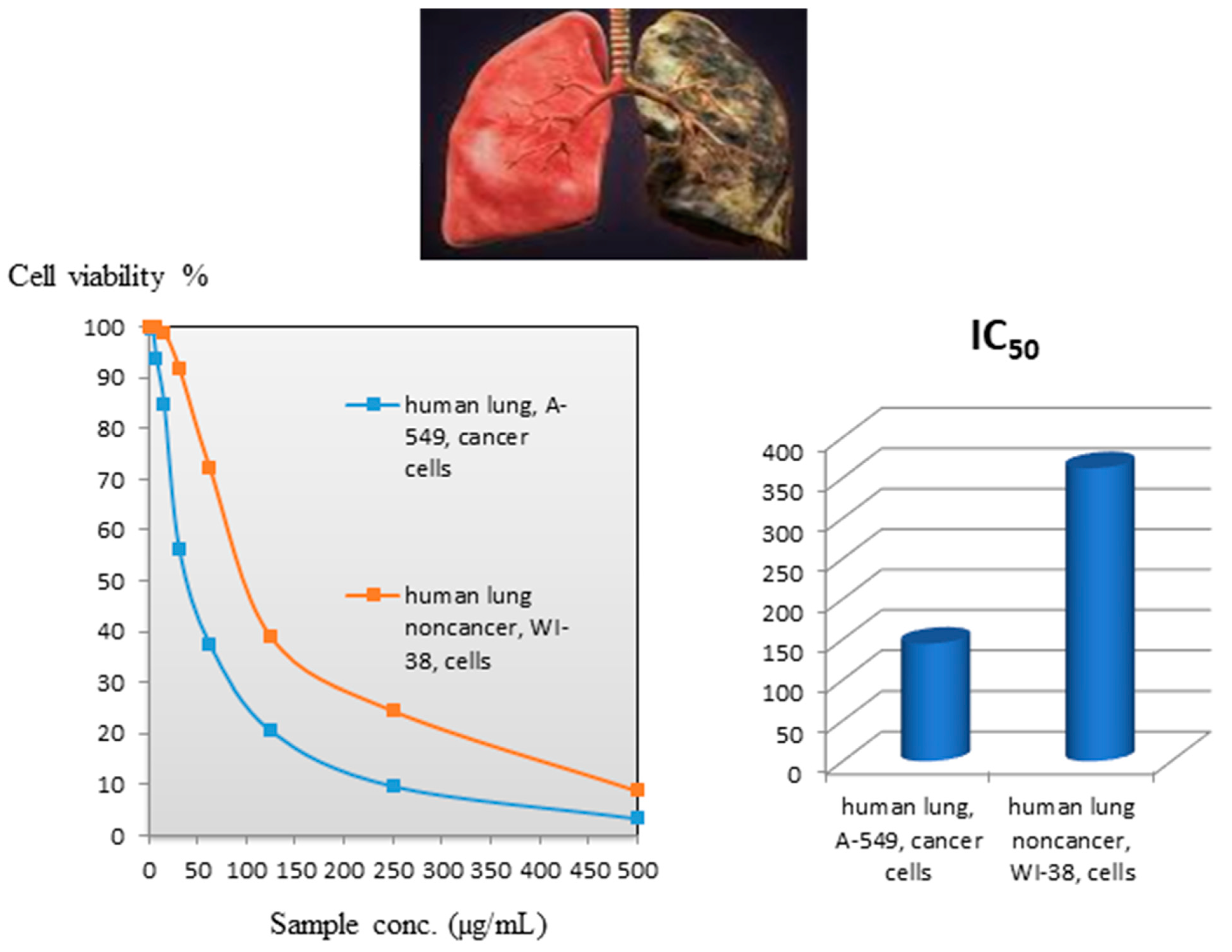 Molecules 29 04239 g005 Molecules 29 04239 g005