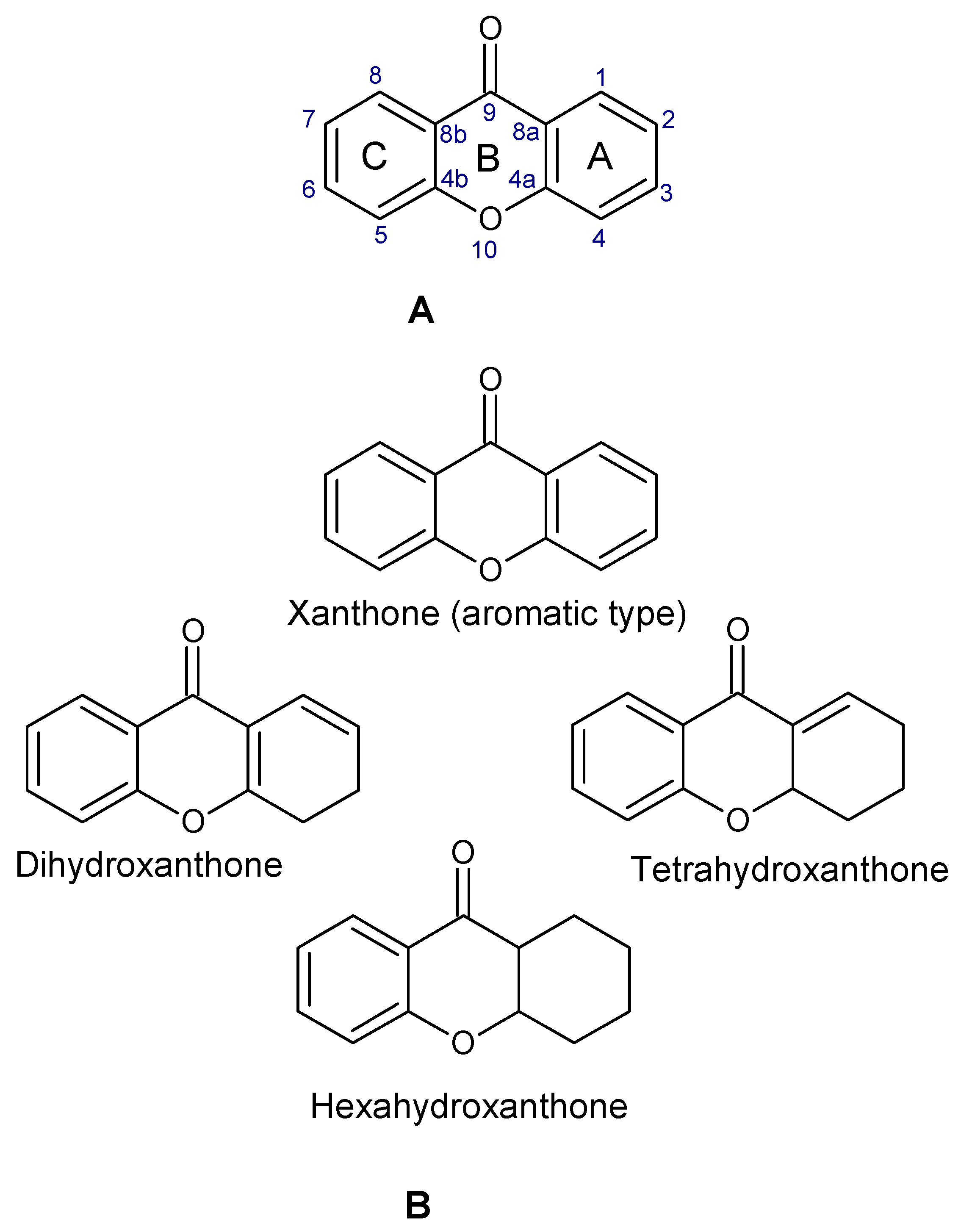 Molecules 29 04241 g001