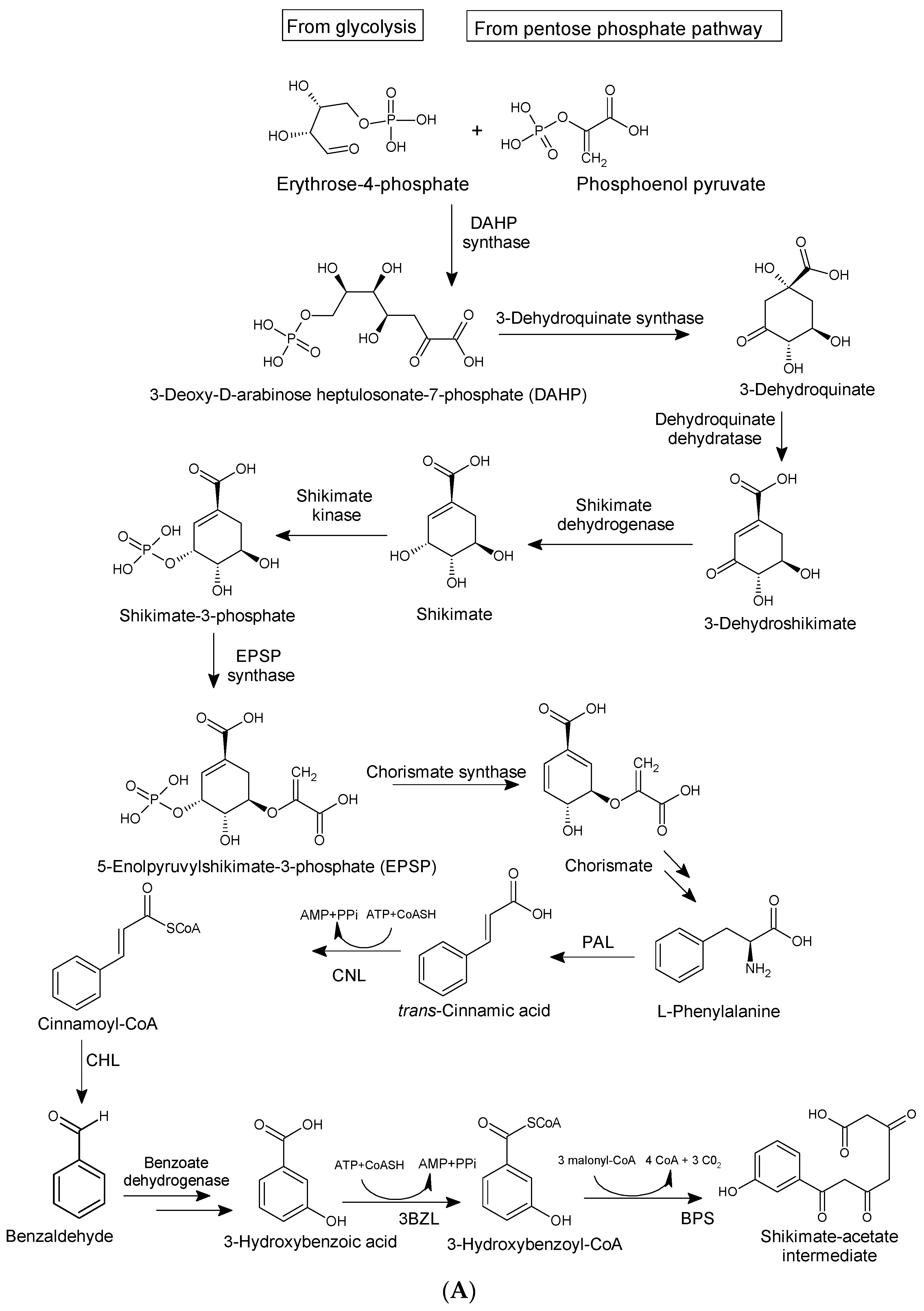Molecules 29 04241 g003a