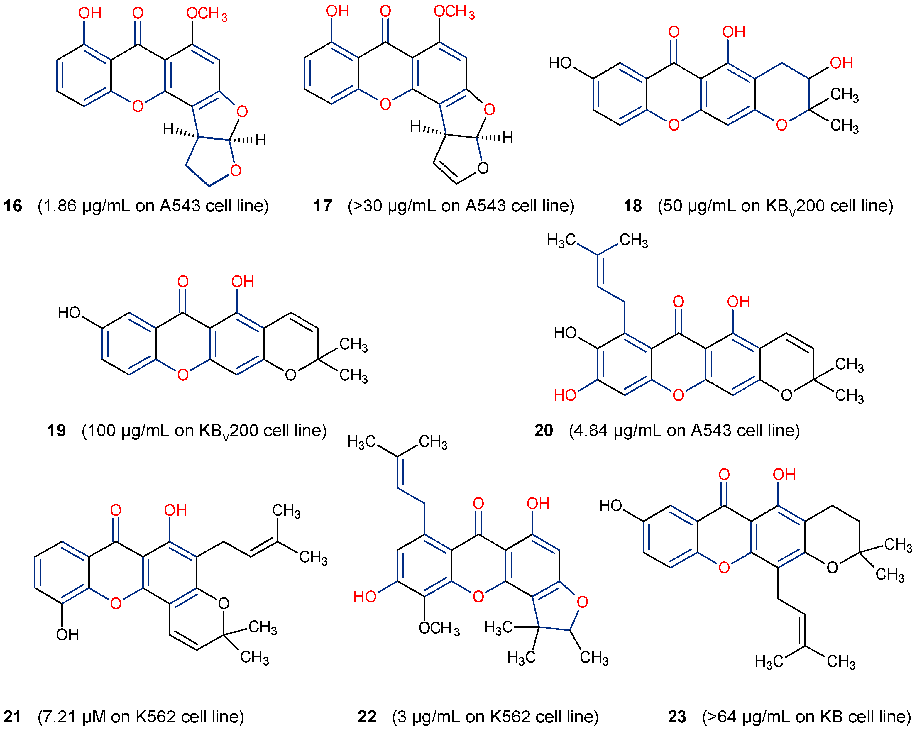 Molecules 29 04241 g006
