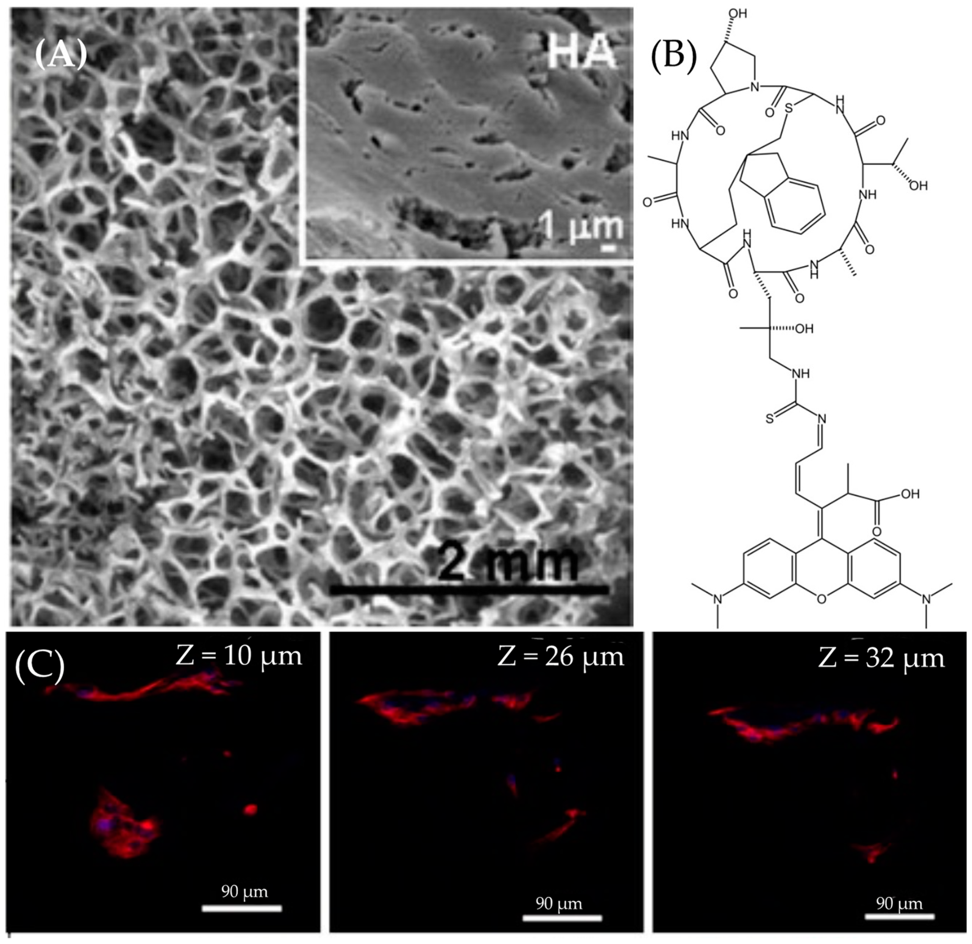 Molecules 29 04243 g015