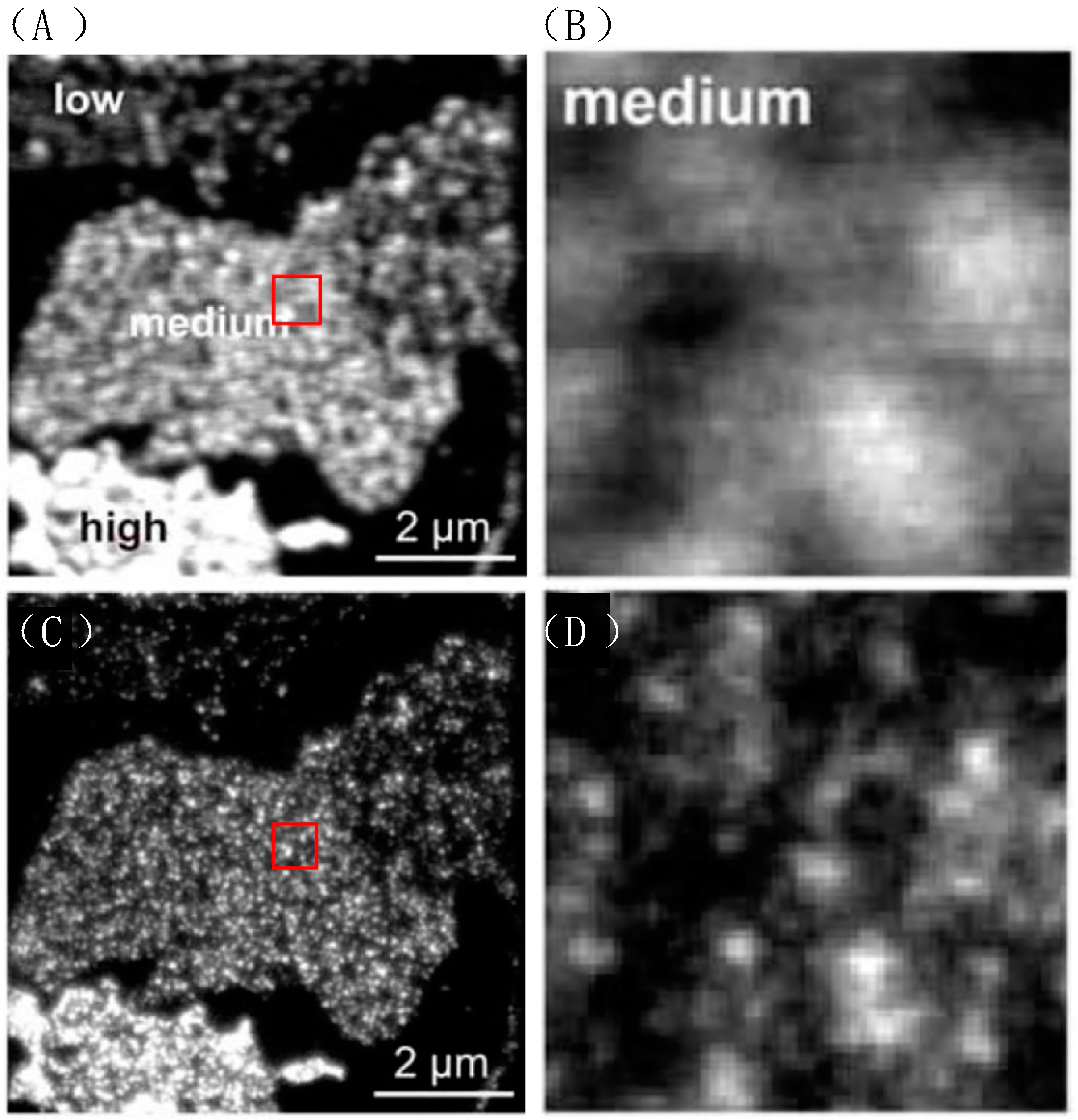 Molecules 29 04243 g017