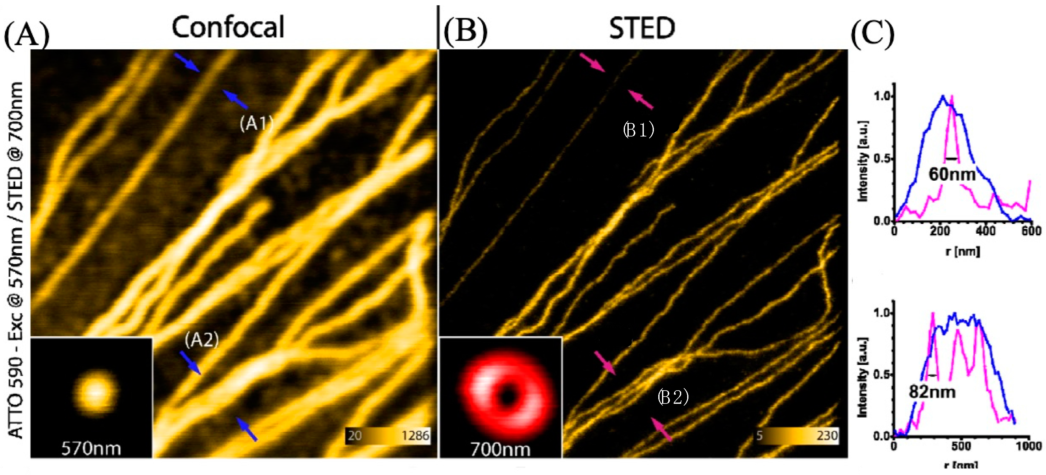 Molecules 29 04243 g019