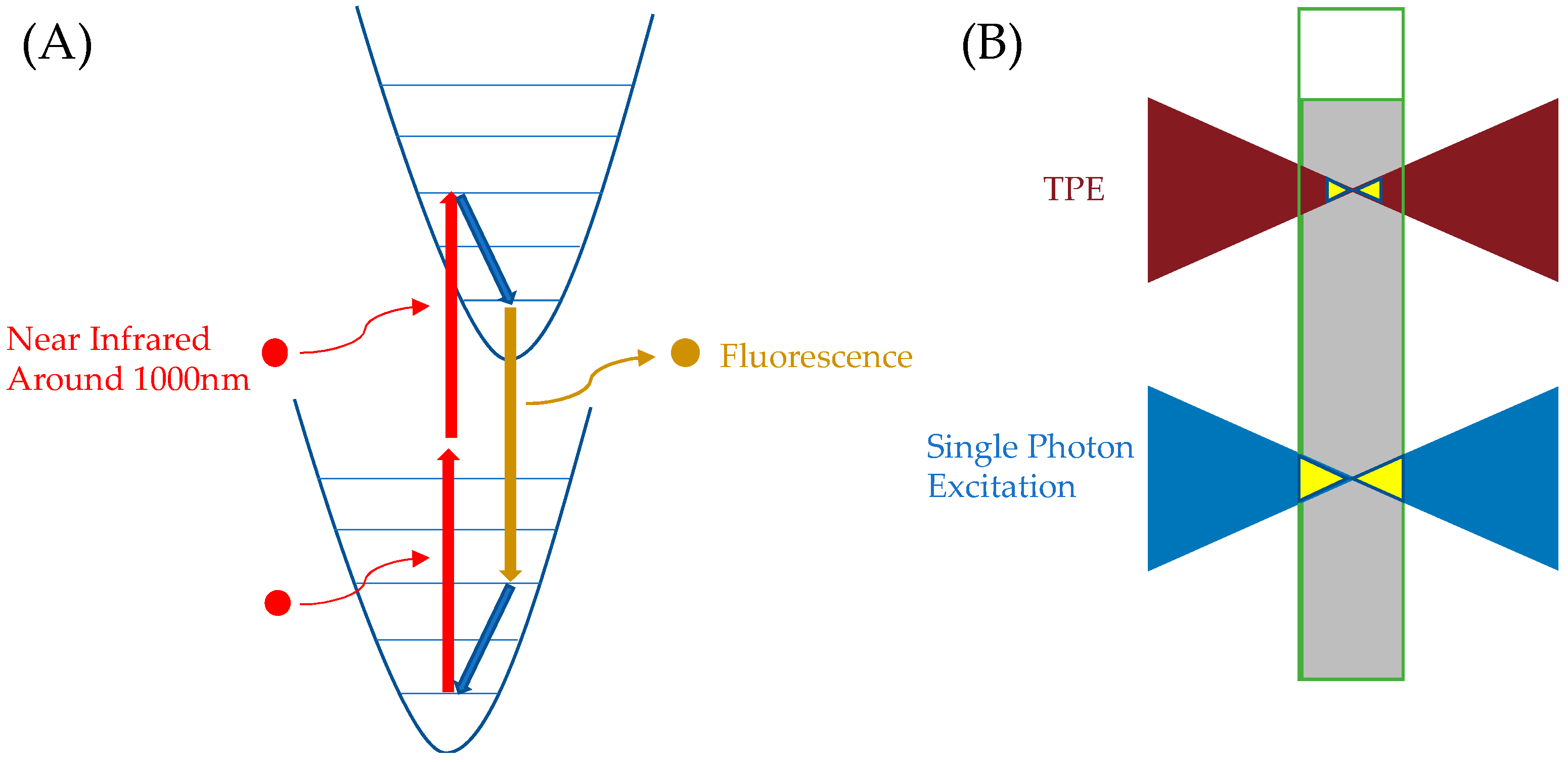 Molecules 29 04243 g020