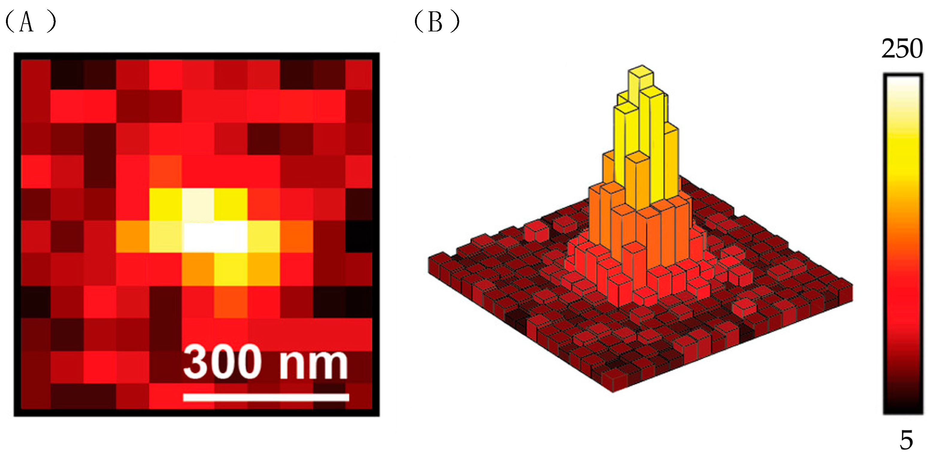 Molecules 29 04243 g025